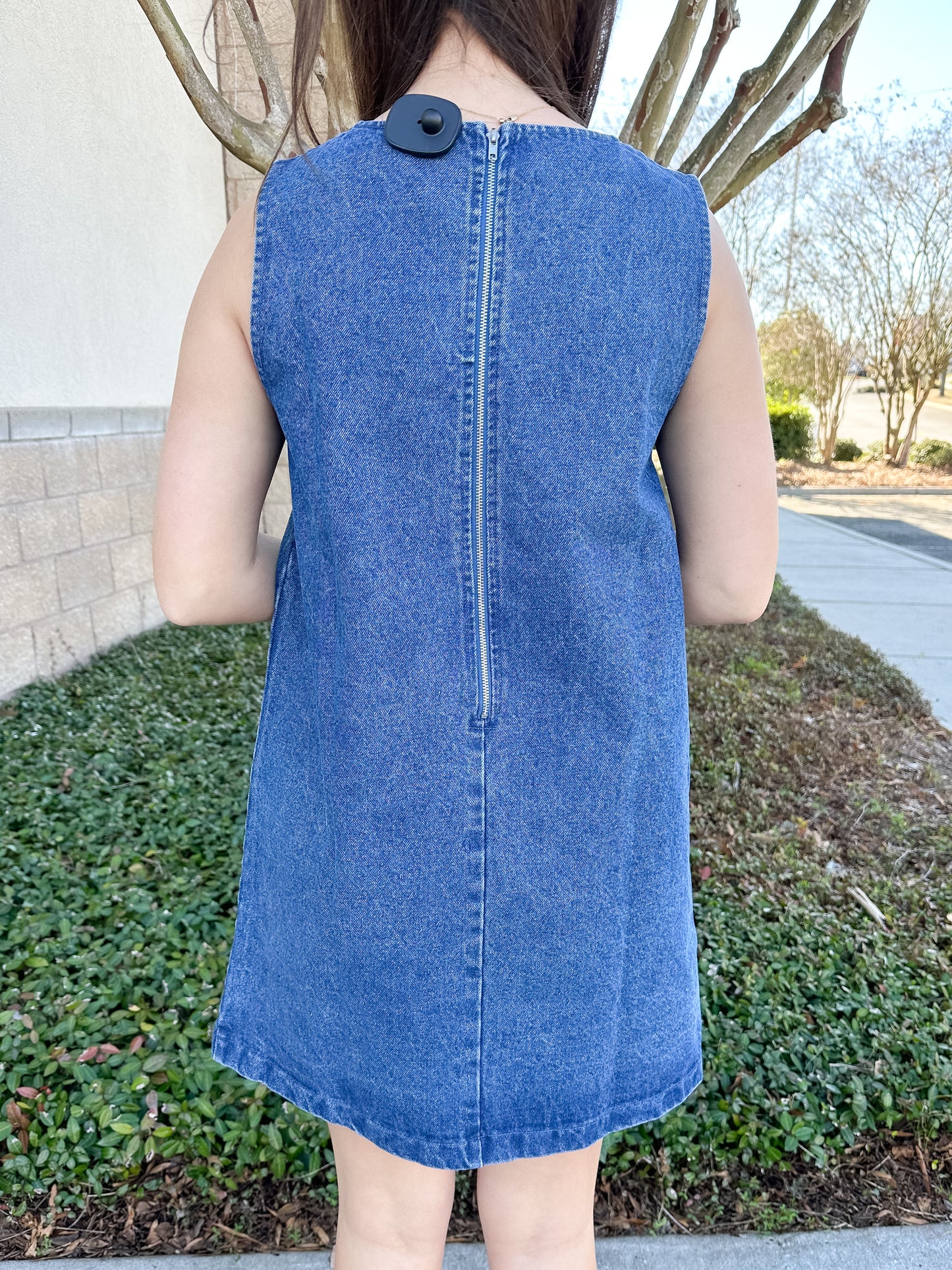 Dandy Denim Dress