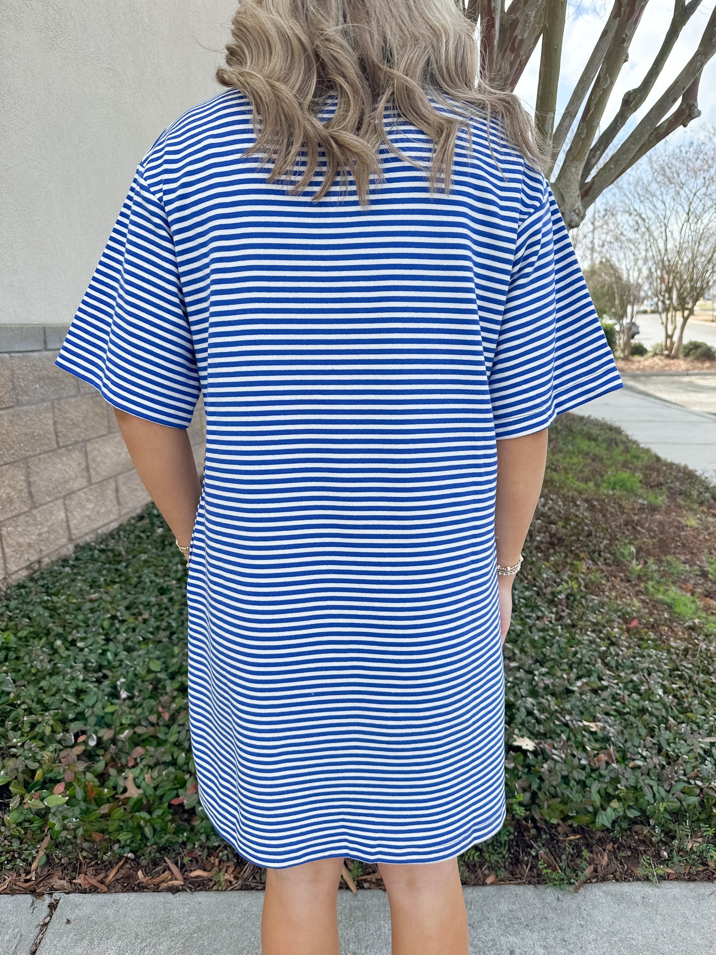 Santa Clara Dress - Blue