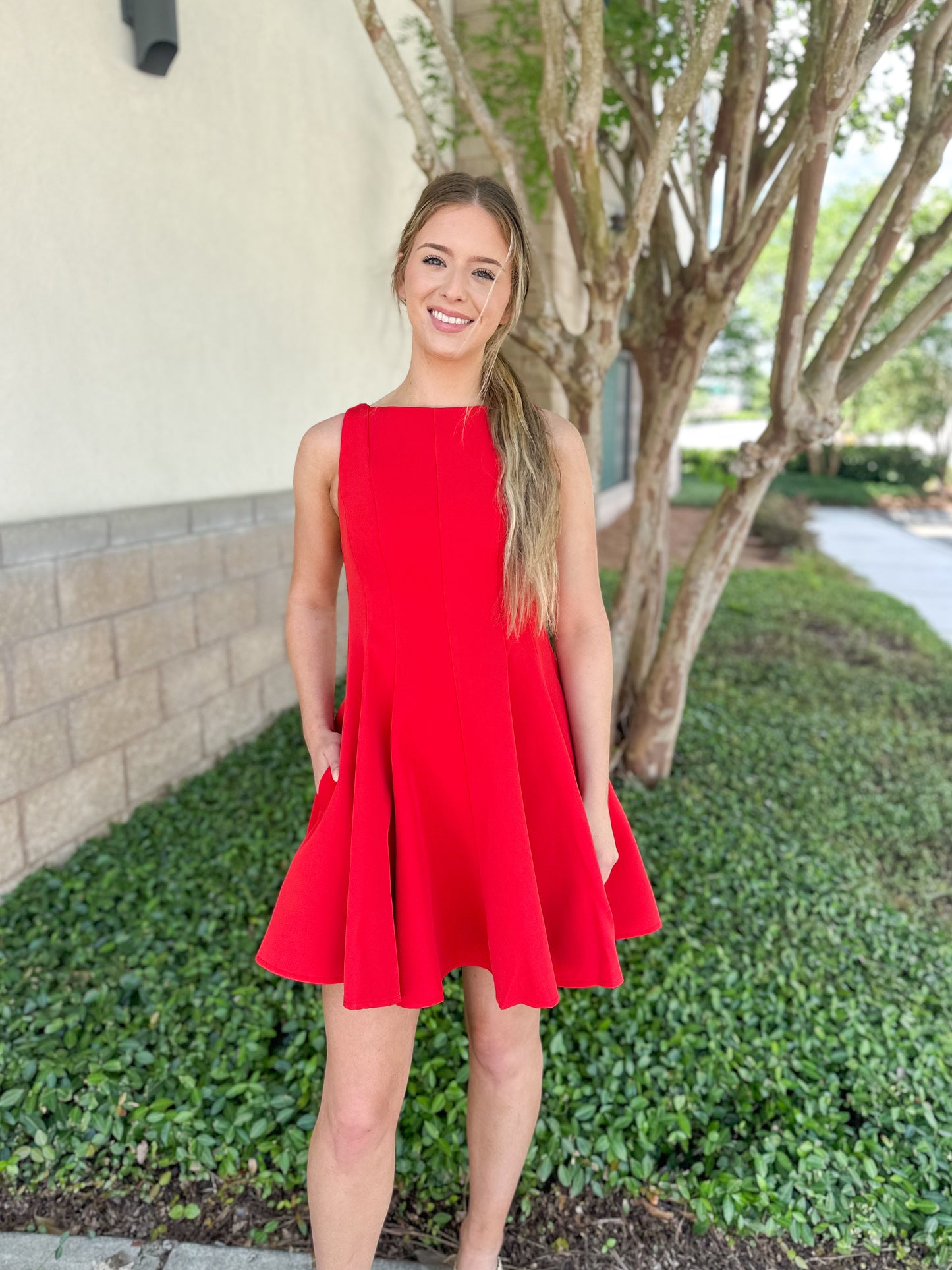 Picture Perfect Mini Dress
