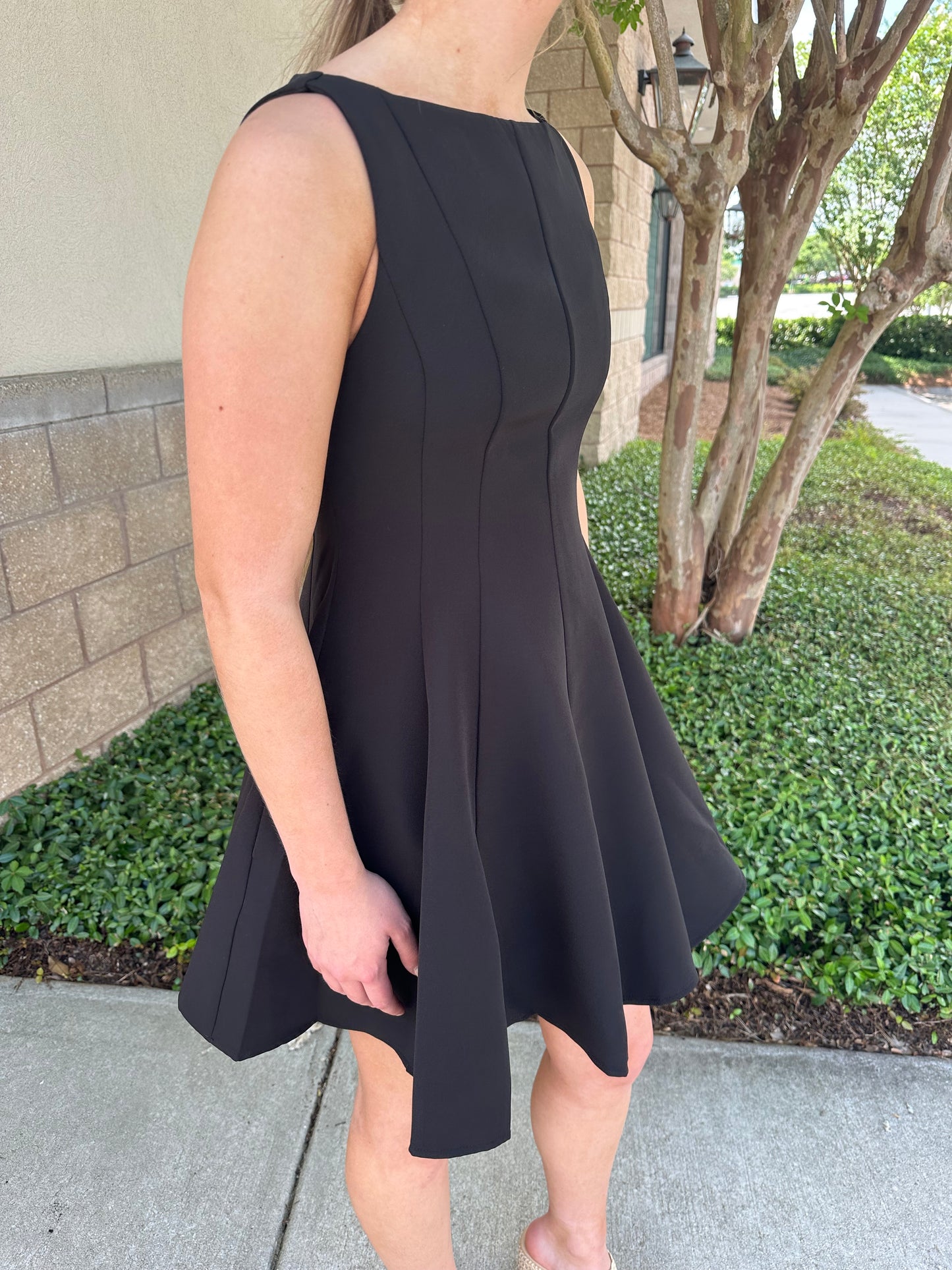 Picture Perfect Mini Dress
