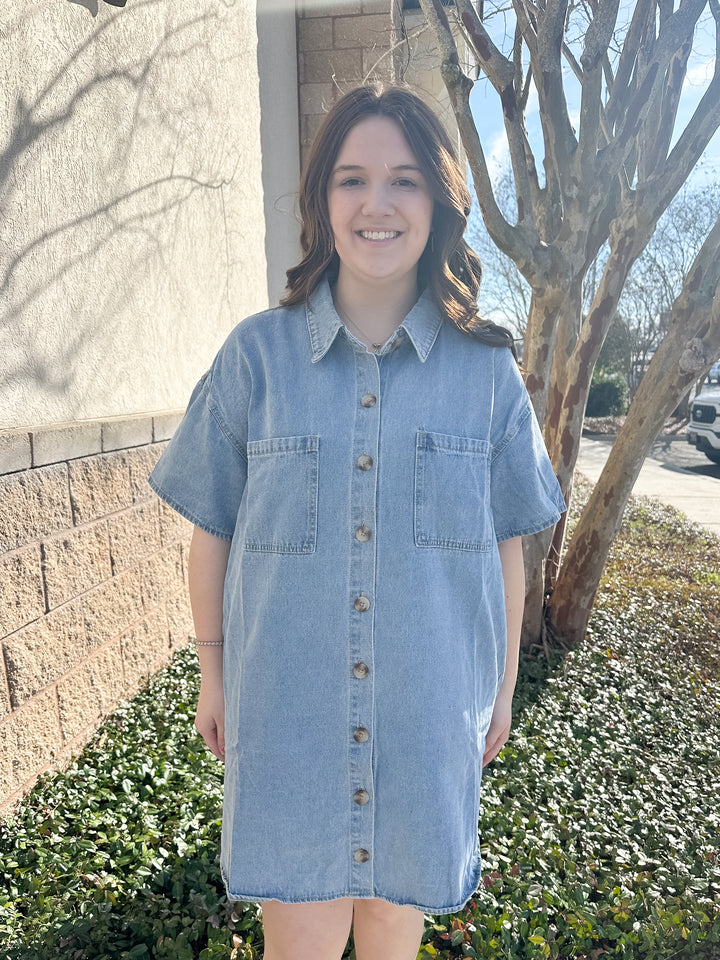 Janet Denim Dress
