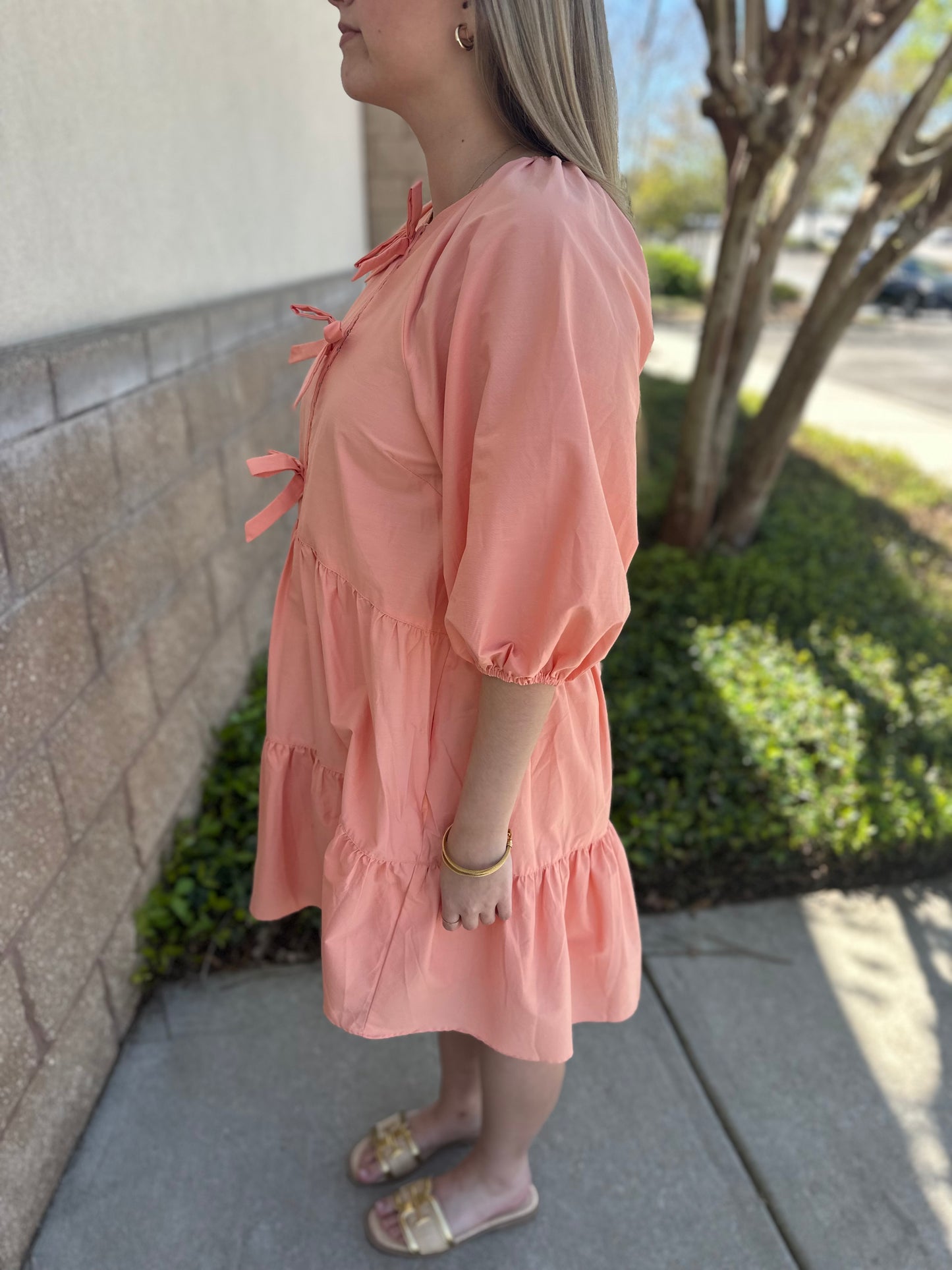 Chesley Bow Dress