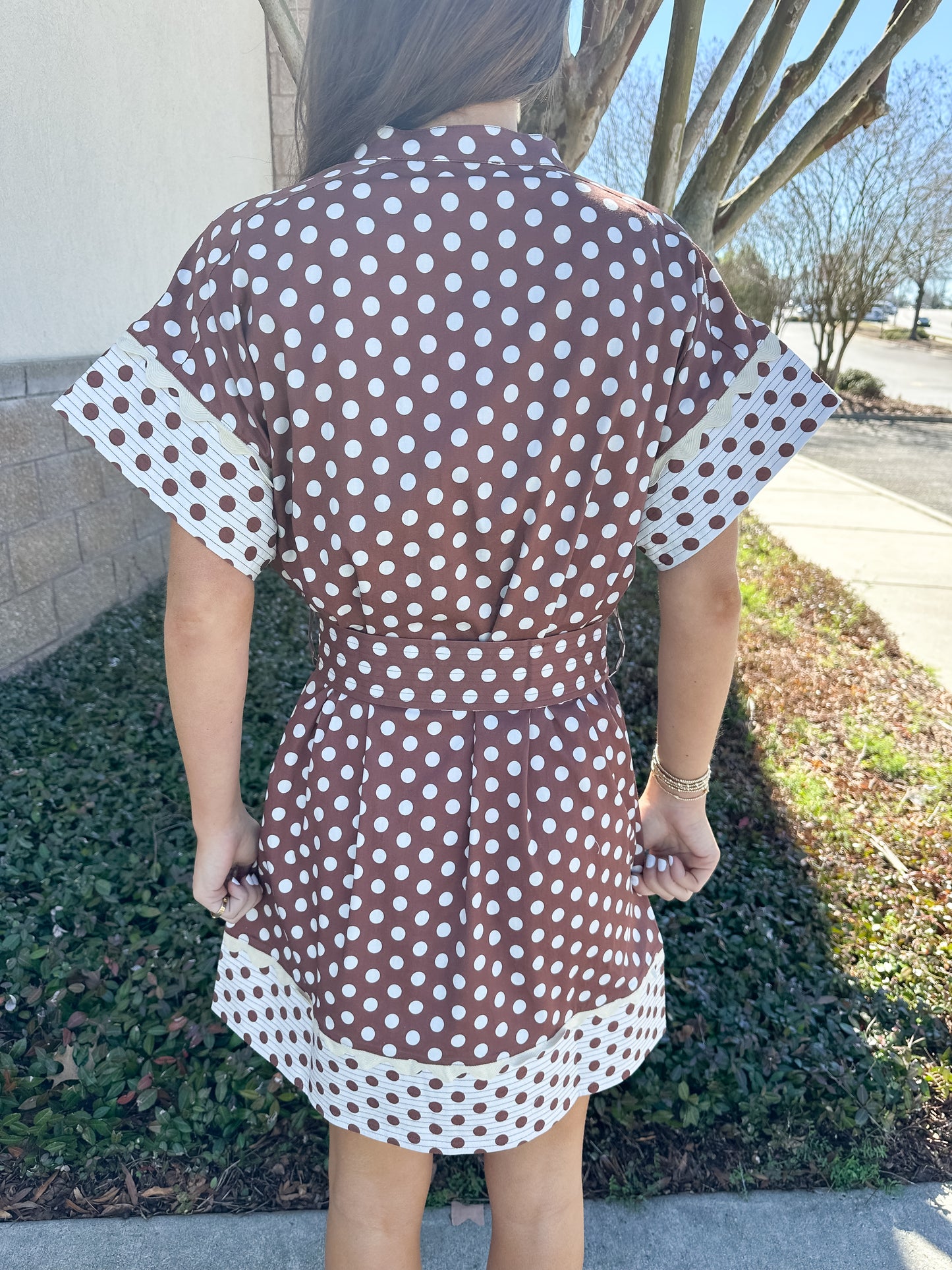 Cocoa Polkadot Belted Dress
