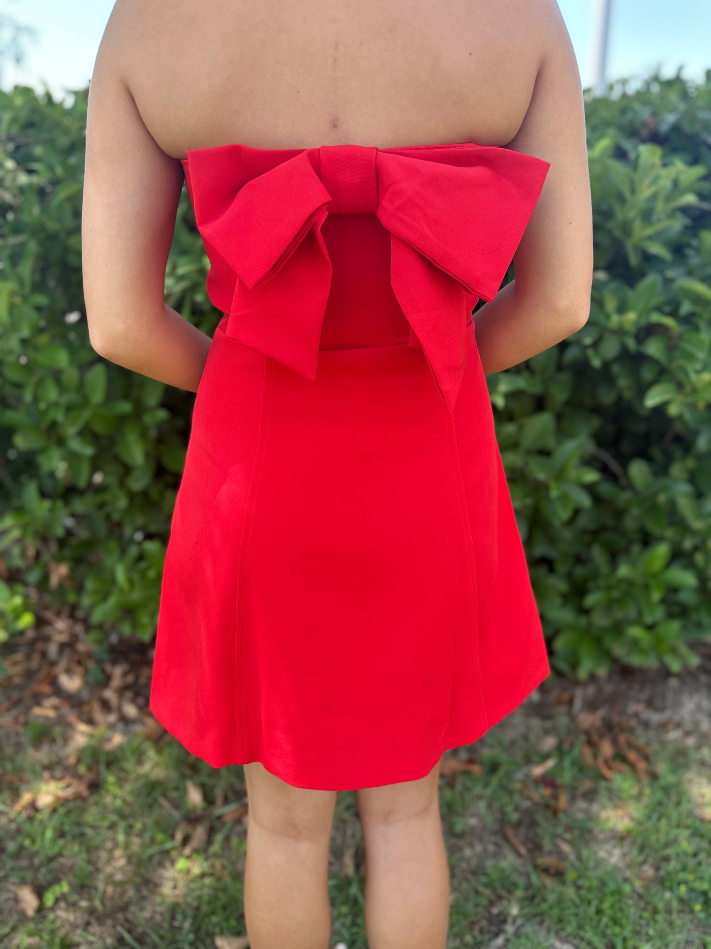 Betsy Bow Dress