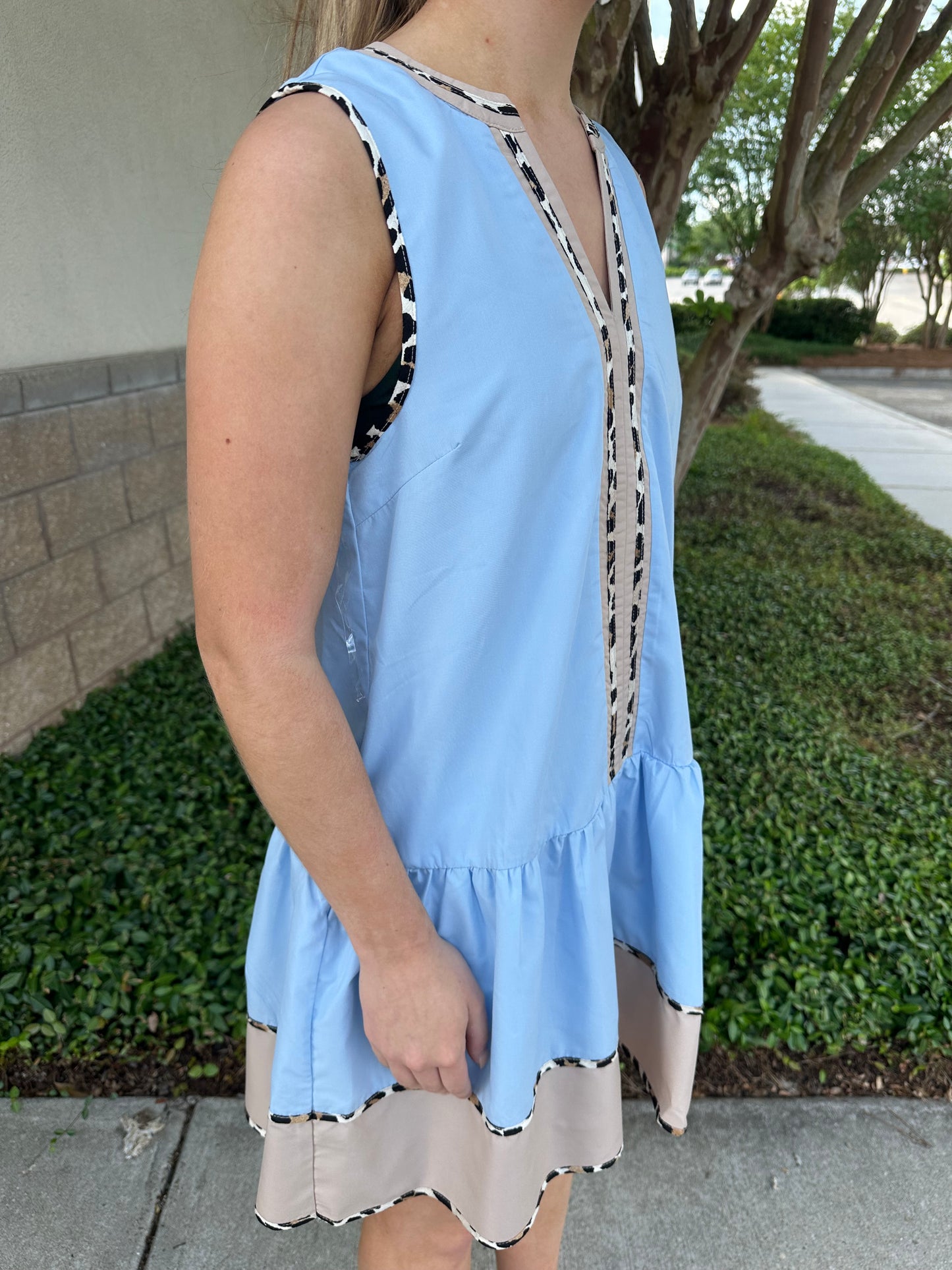 Anna Animal Print Mini Dress