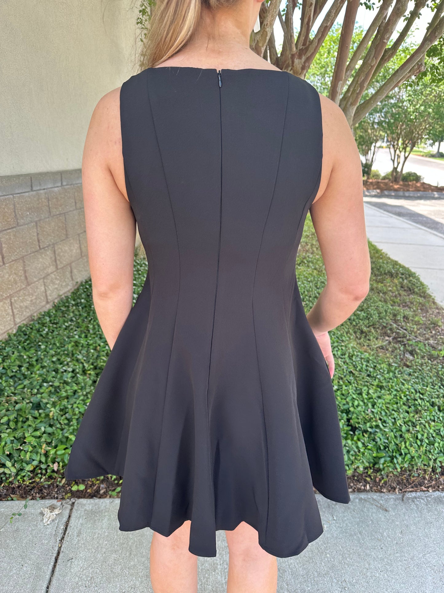 Picture Perfect Mini Dress