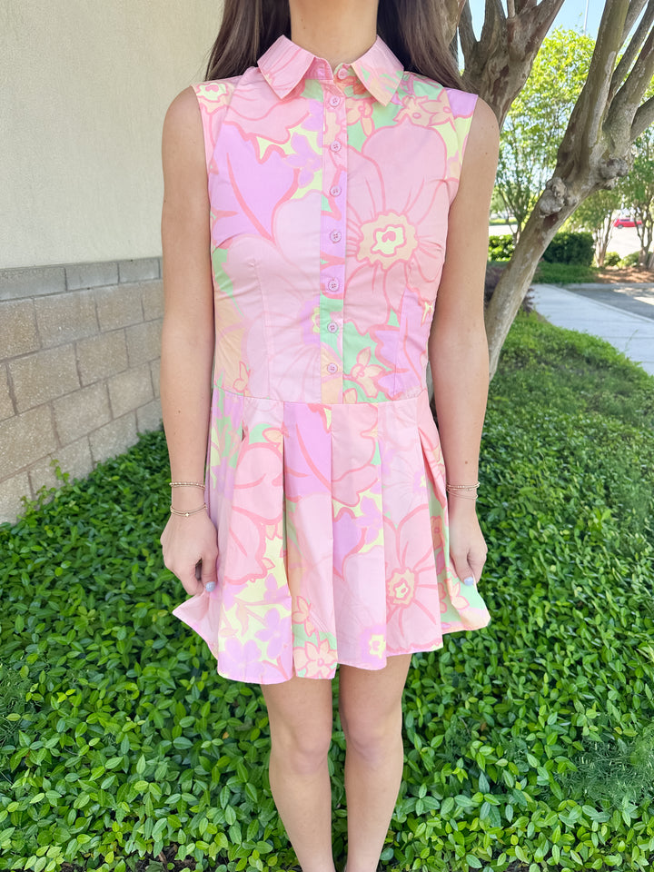 Andrea Pastel Collar Dress