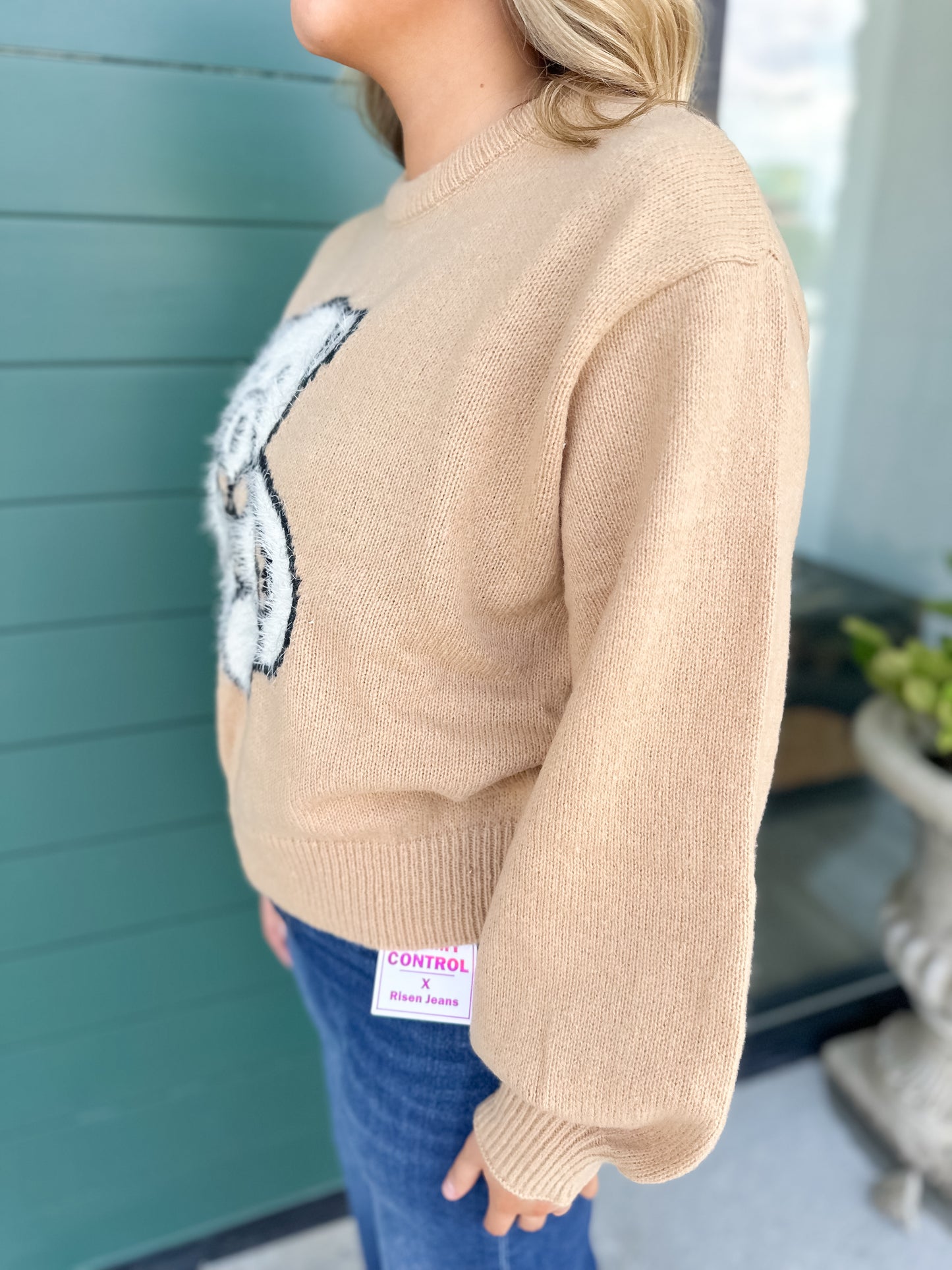 Simply Fuzzy Teddy Sweater