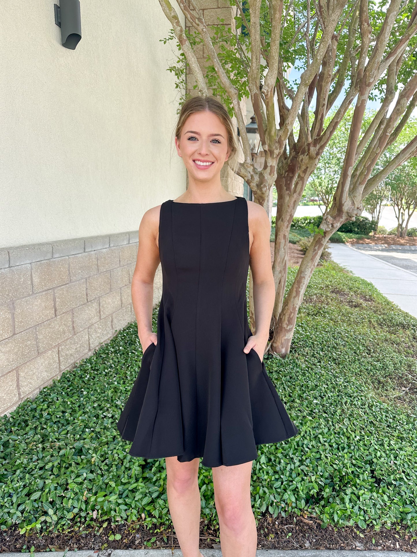 Picture Perfect Mini Dress