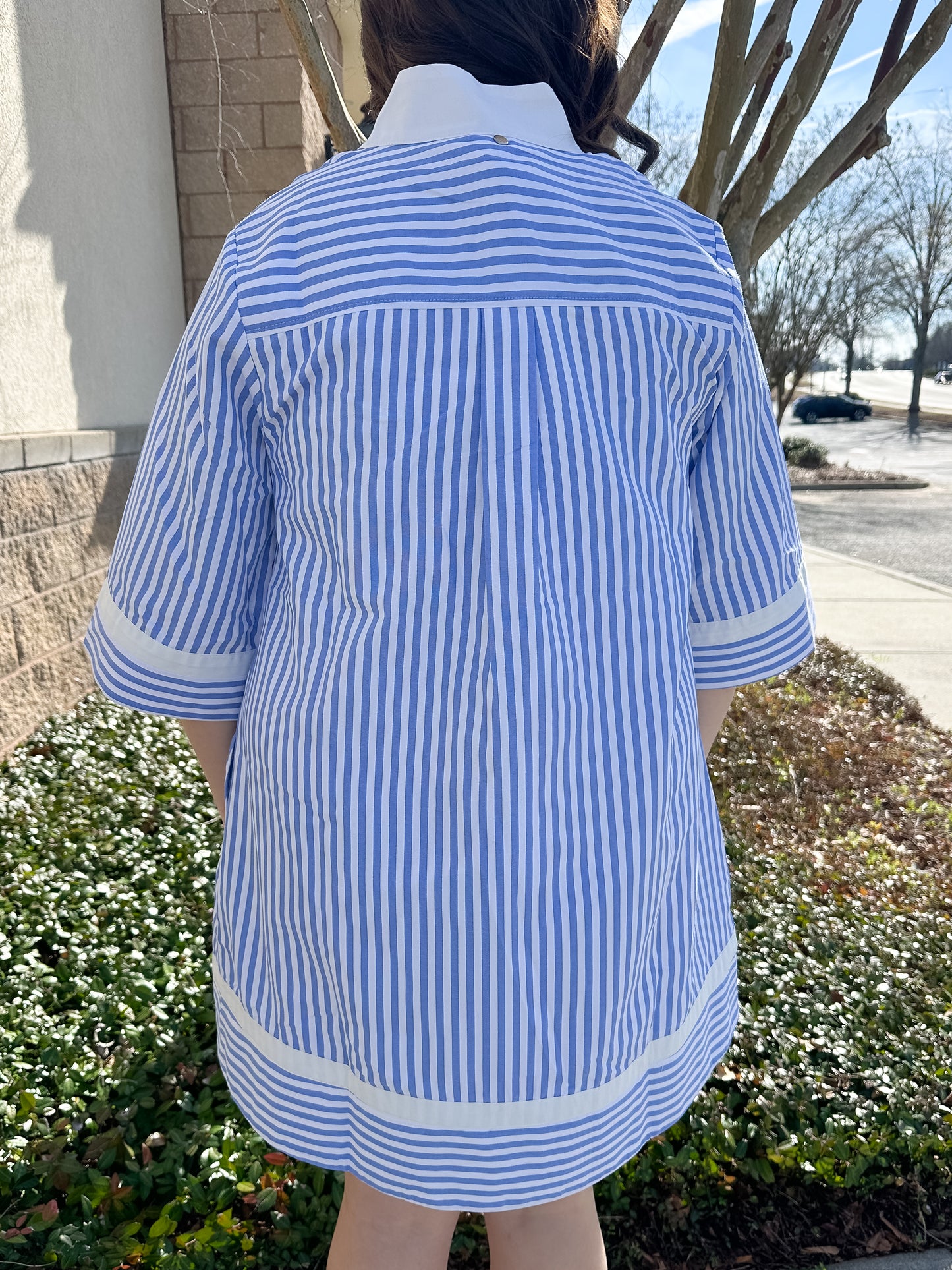 Logan Stripe Dress - Blue