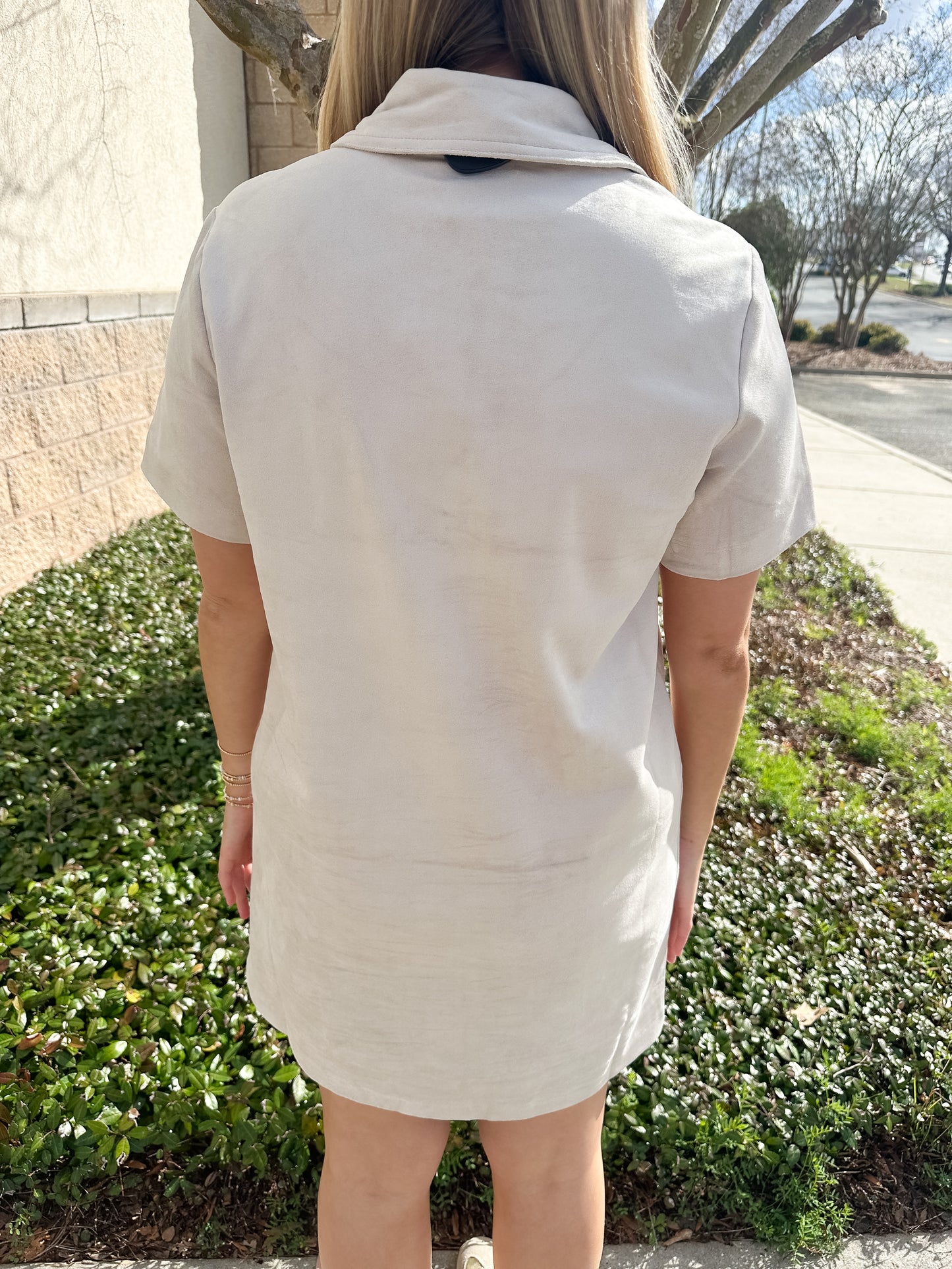 Sydney Suede Mini Dress