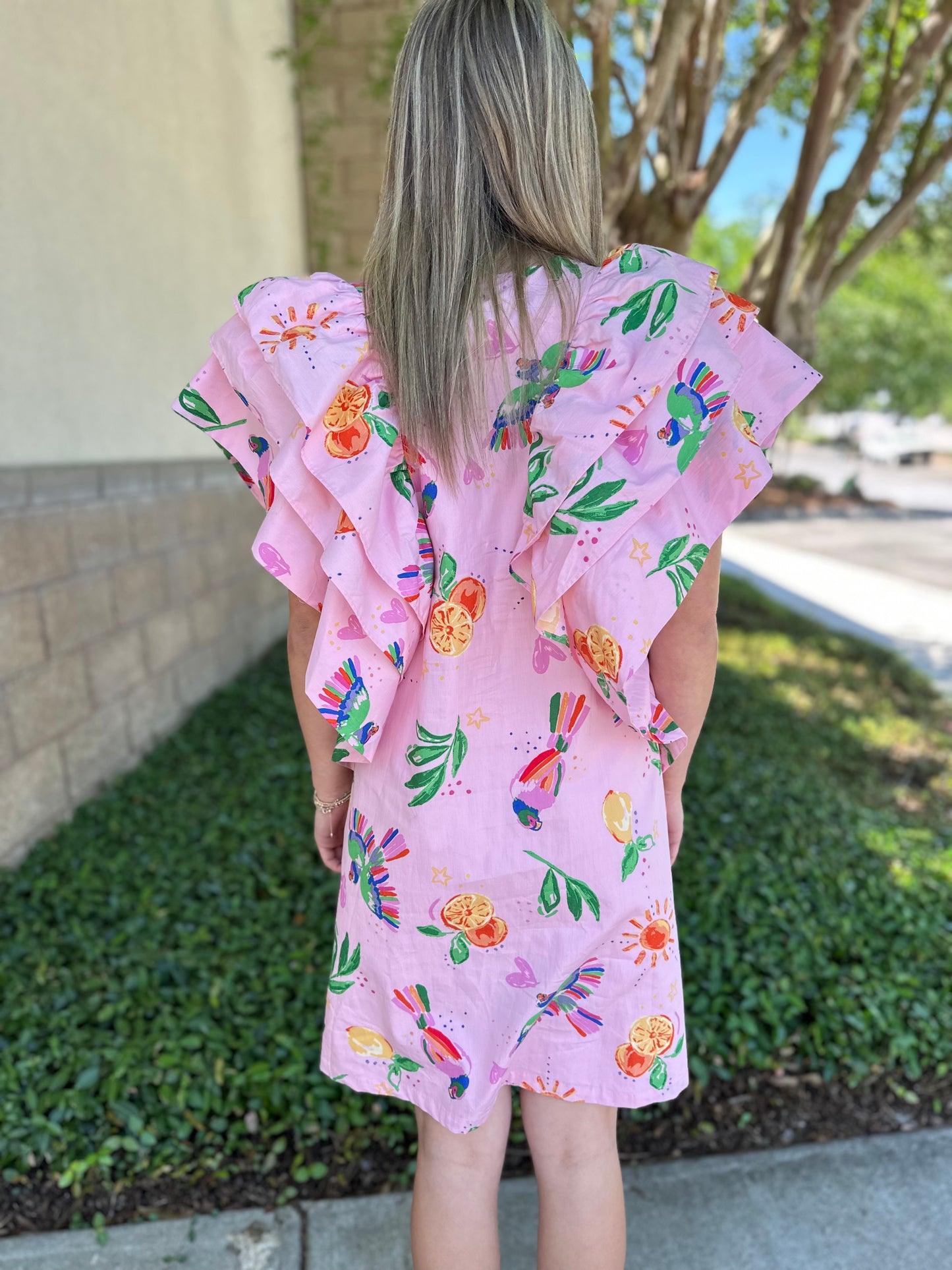 Toucan Fruit Ruffle Dress