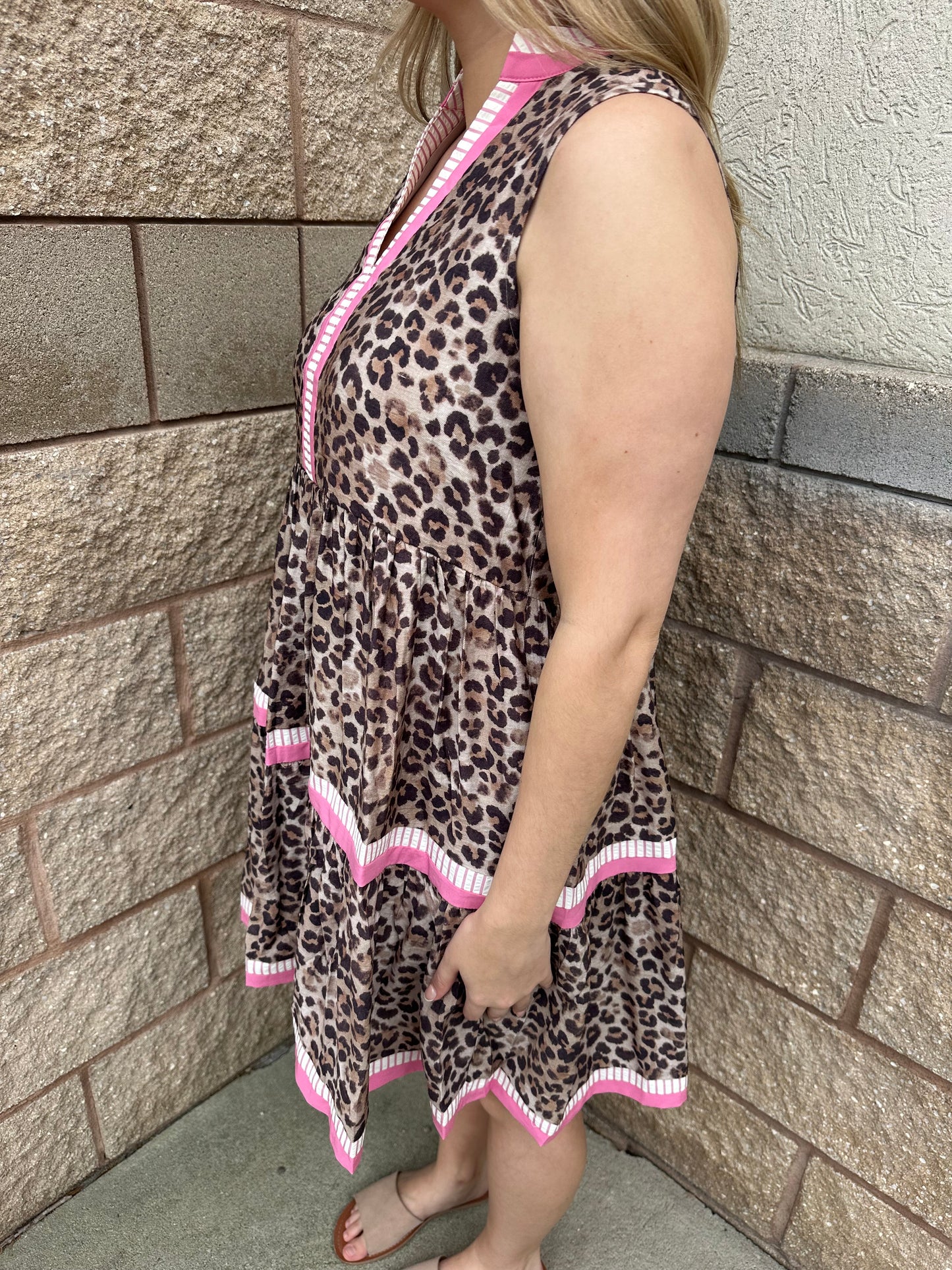 Party Animal V-Neck Dress