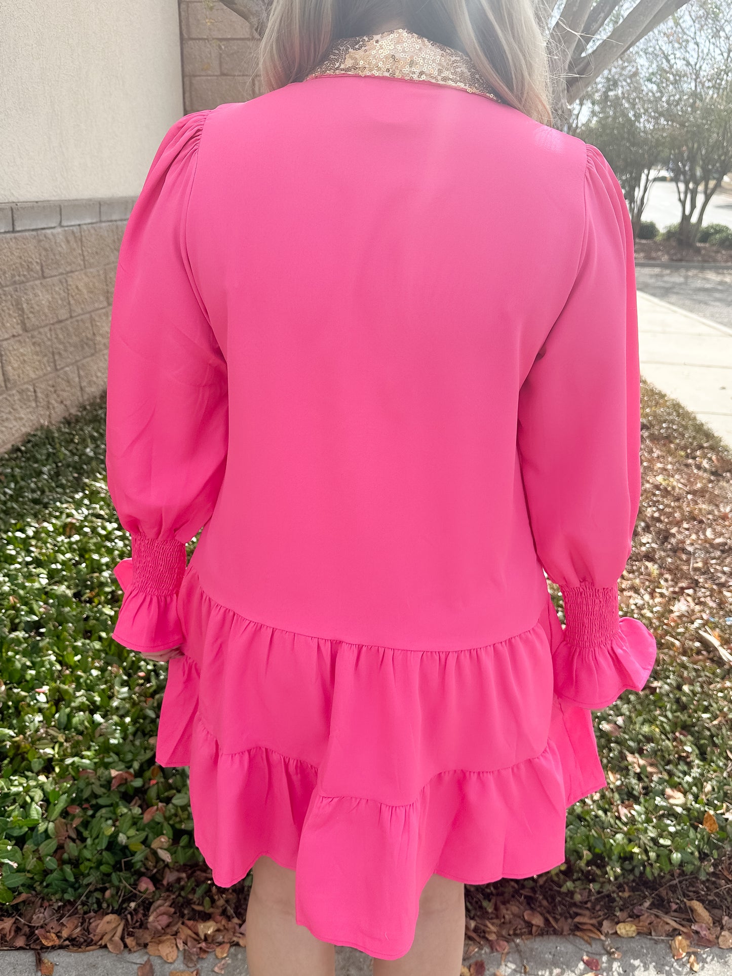 JM Nutcracker Button Down Dress