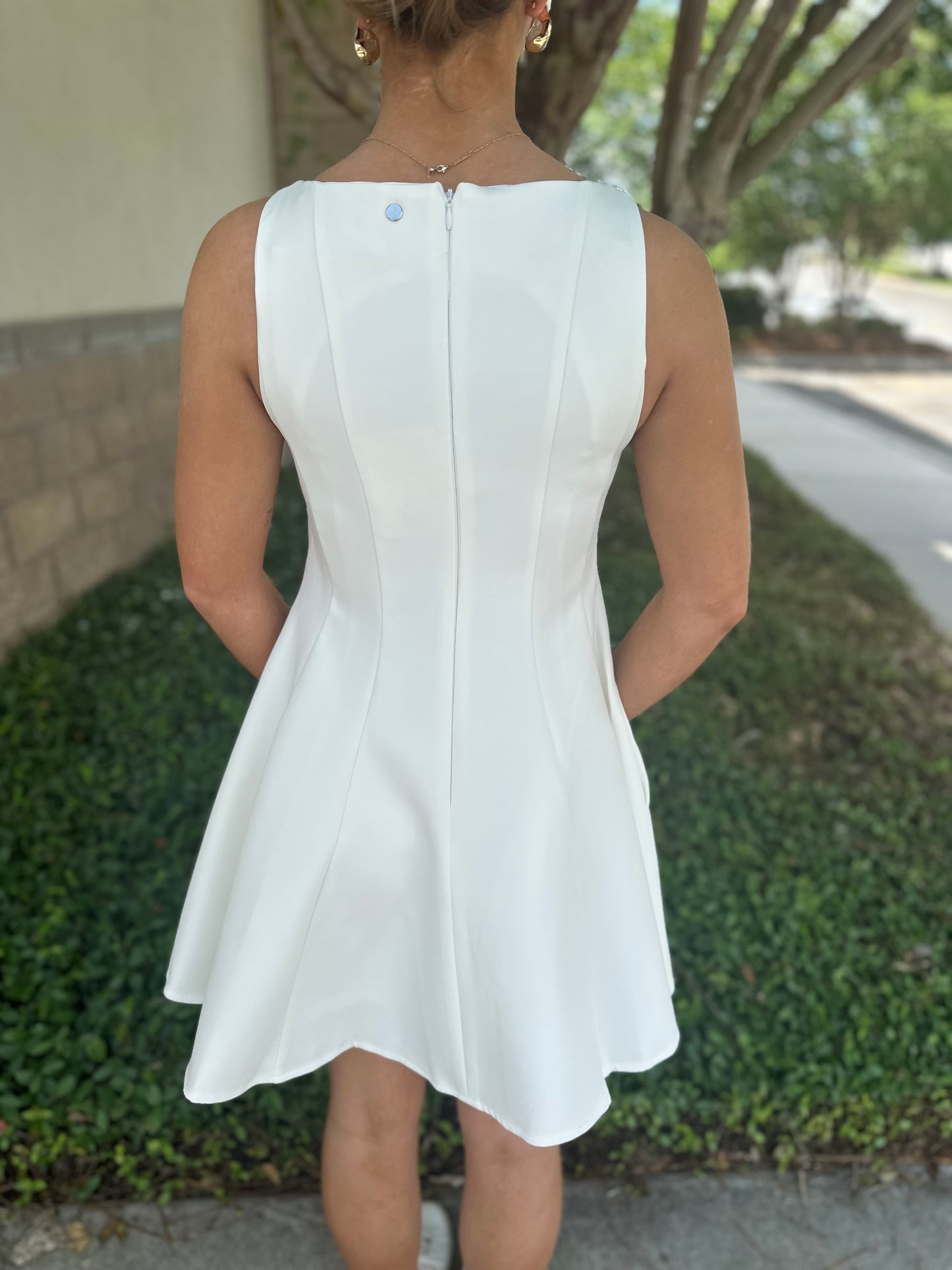 Picture Perfect Mini Dress