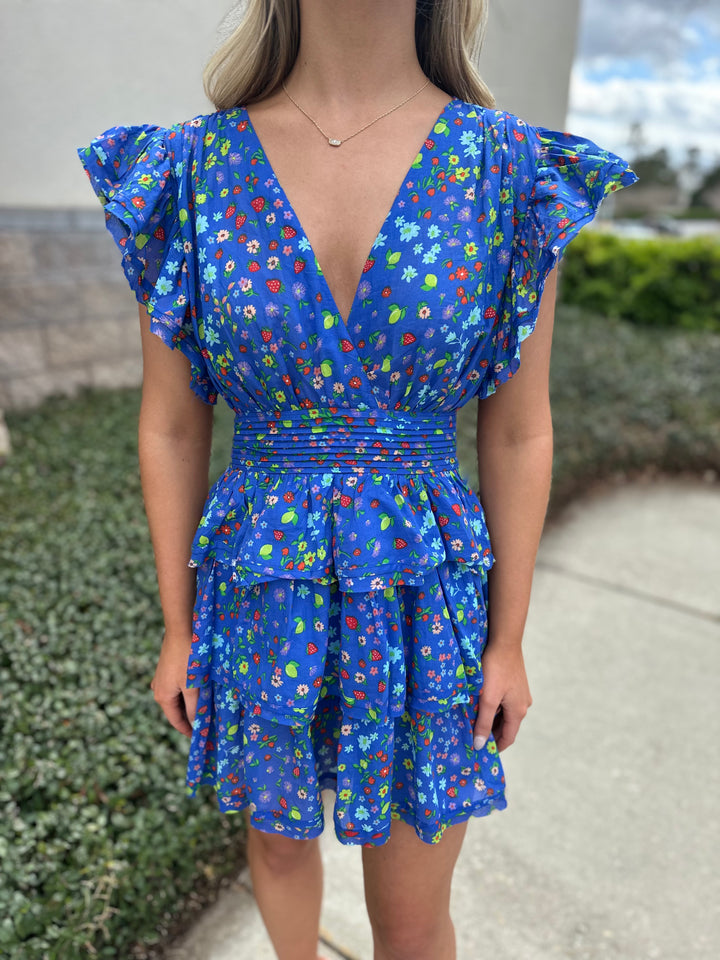 Ansley Summer Fruit Mini Dress