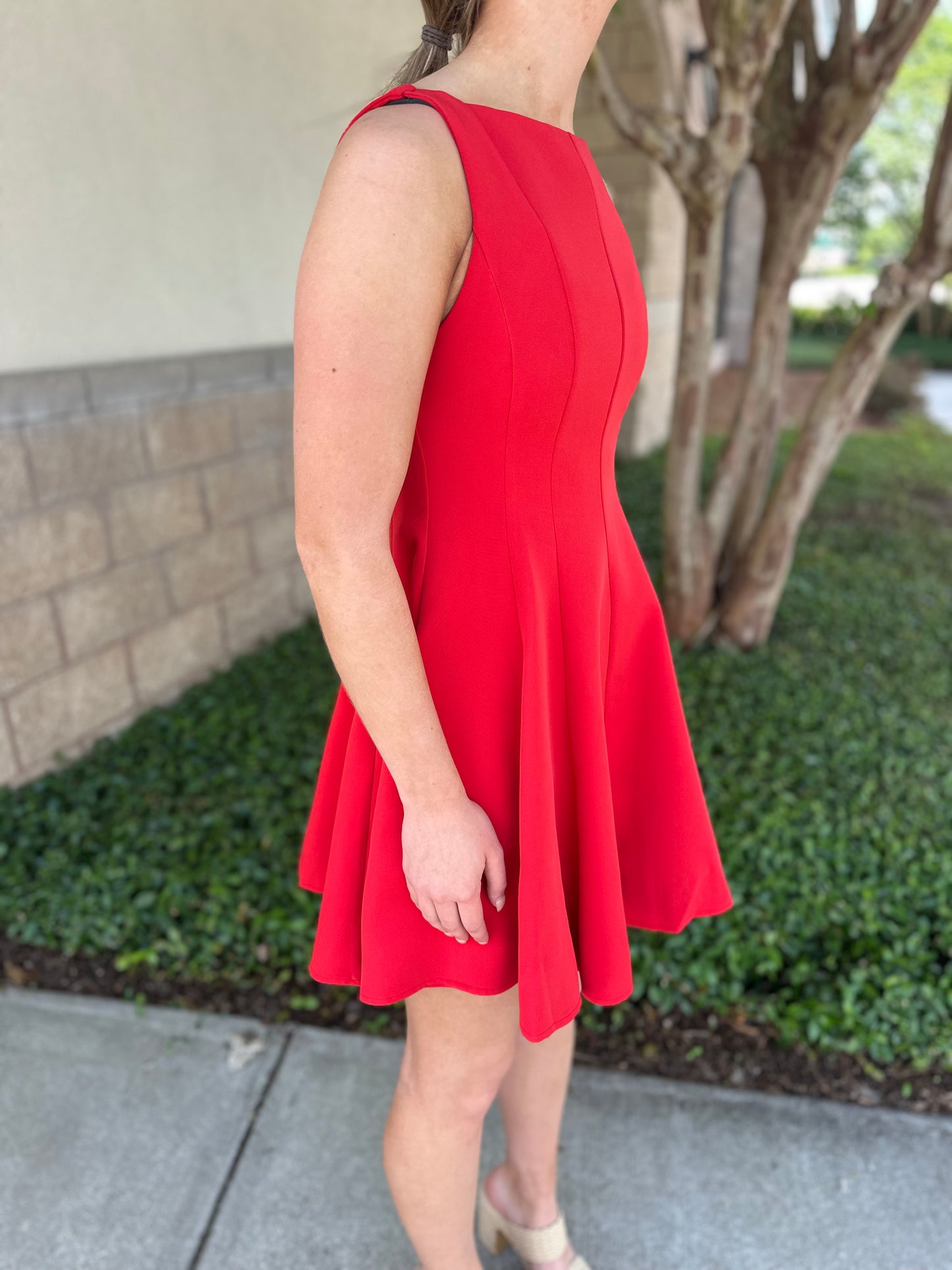 Picture Perfect Mini Dress
