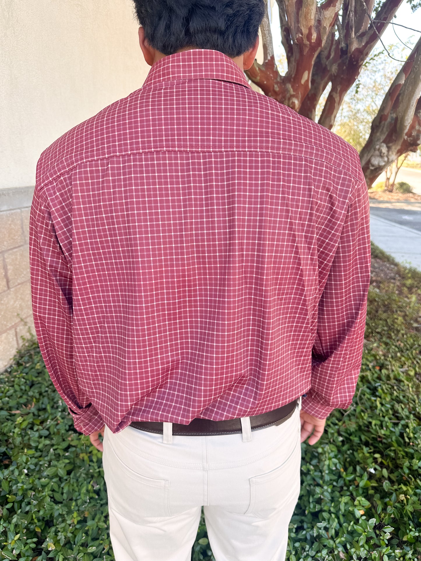 S. Casanova Vented Sportsman Button Down - Dark Bullseye