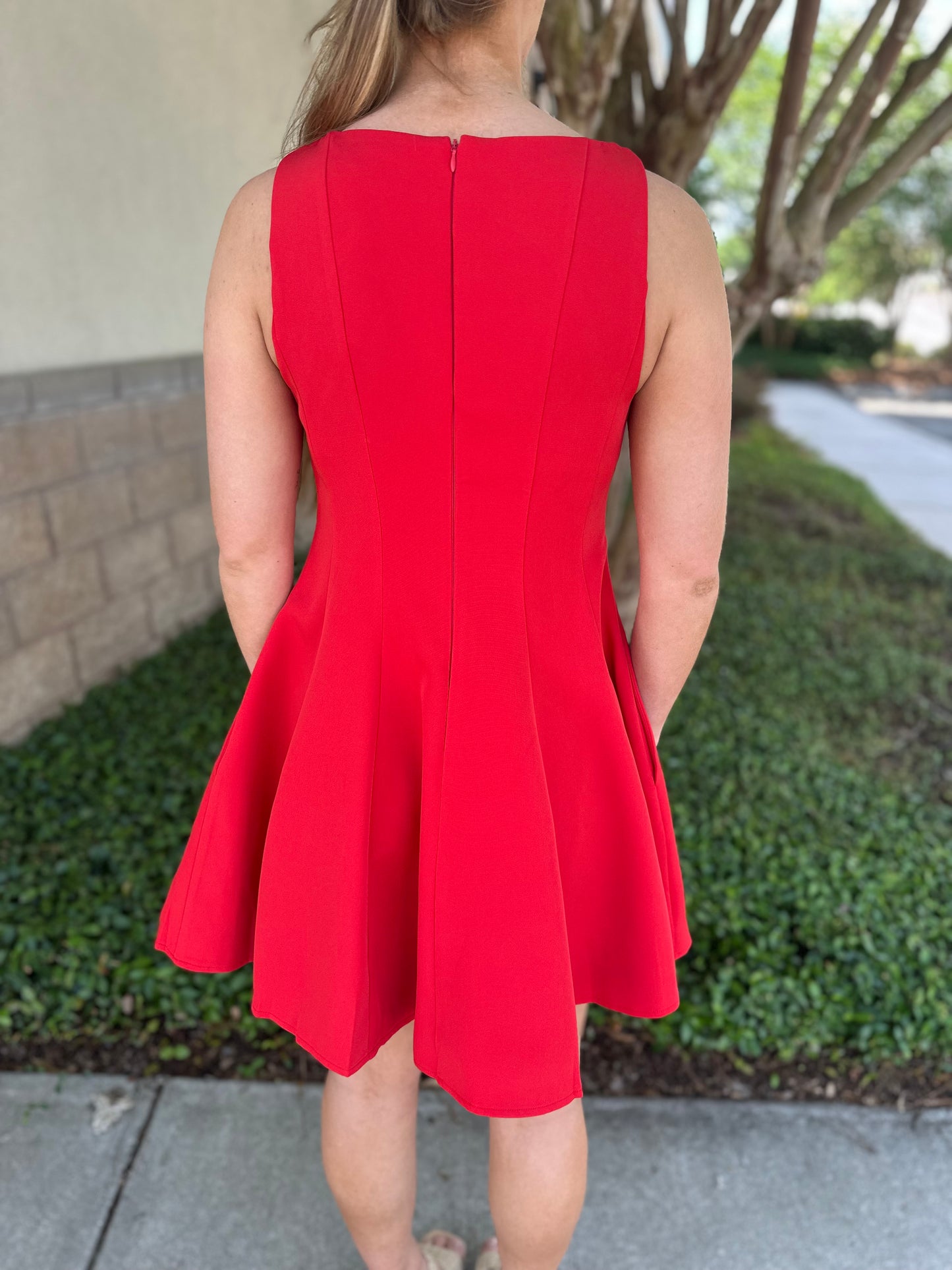 Picture Perfect Mini Dress