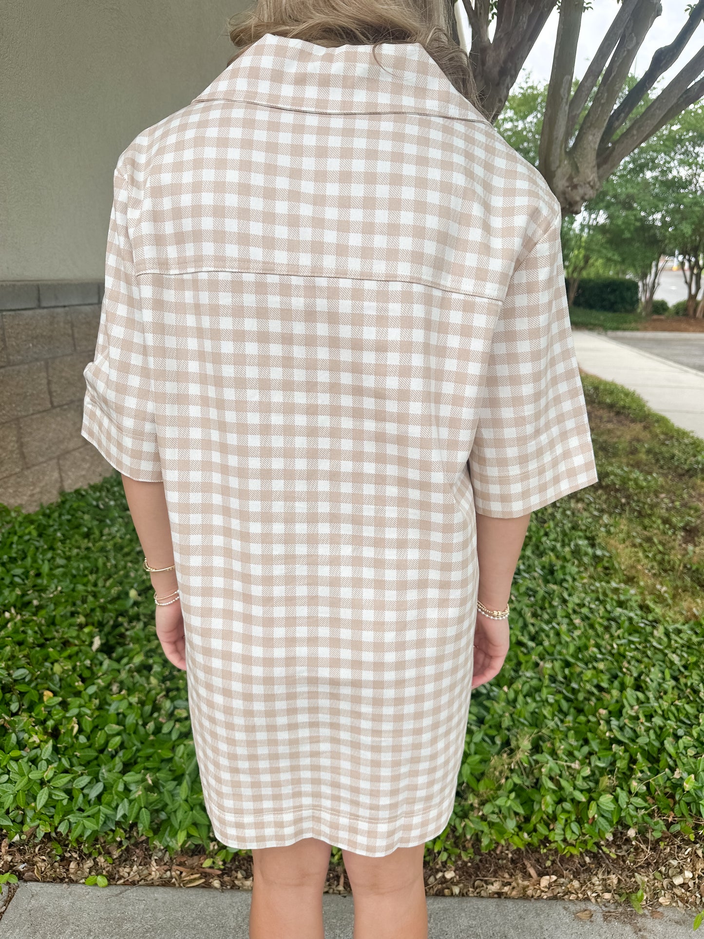 Checkmate Denim Dress