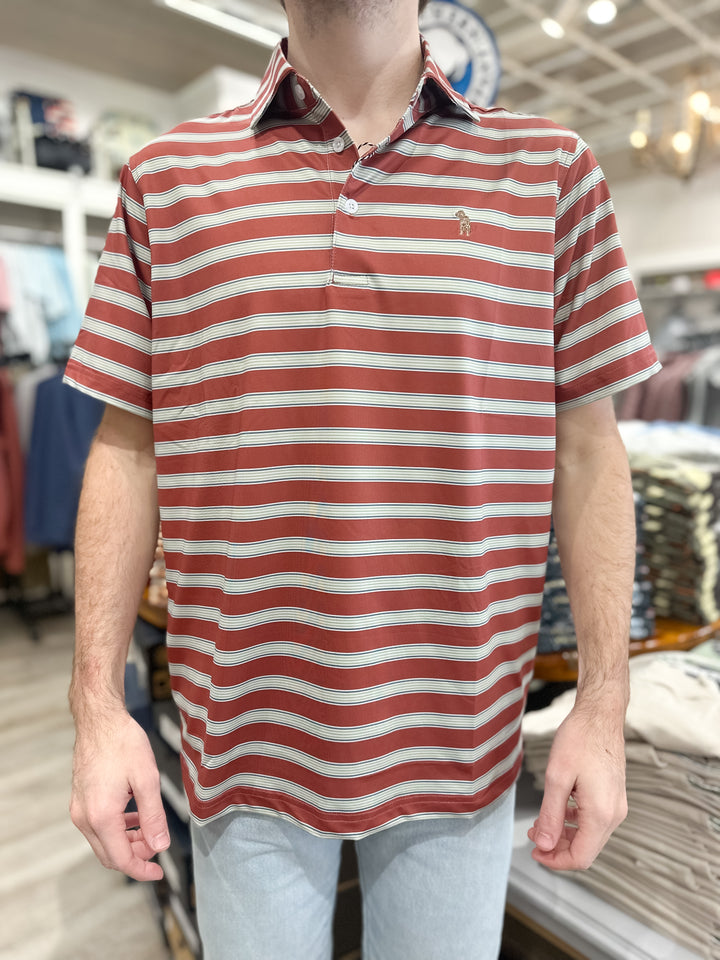 S. Casanova F25 Base Camp Stripe Performance Polo