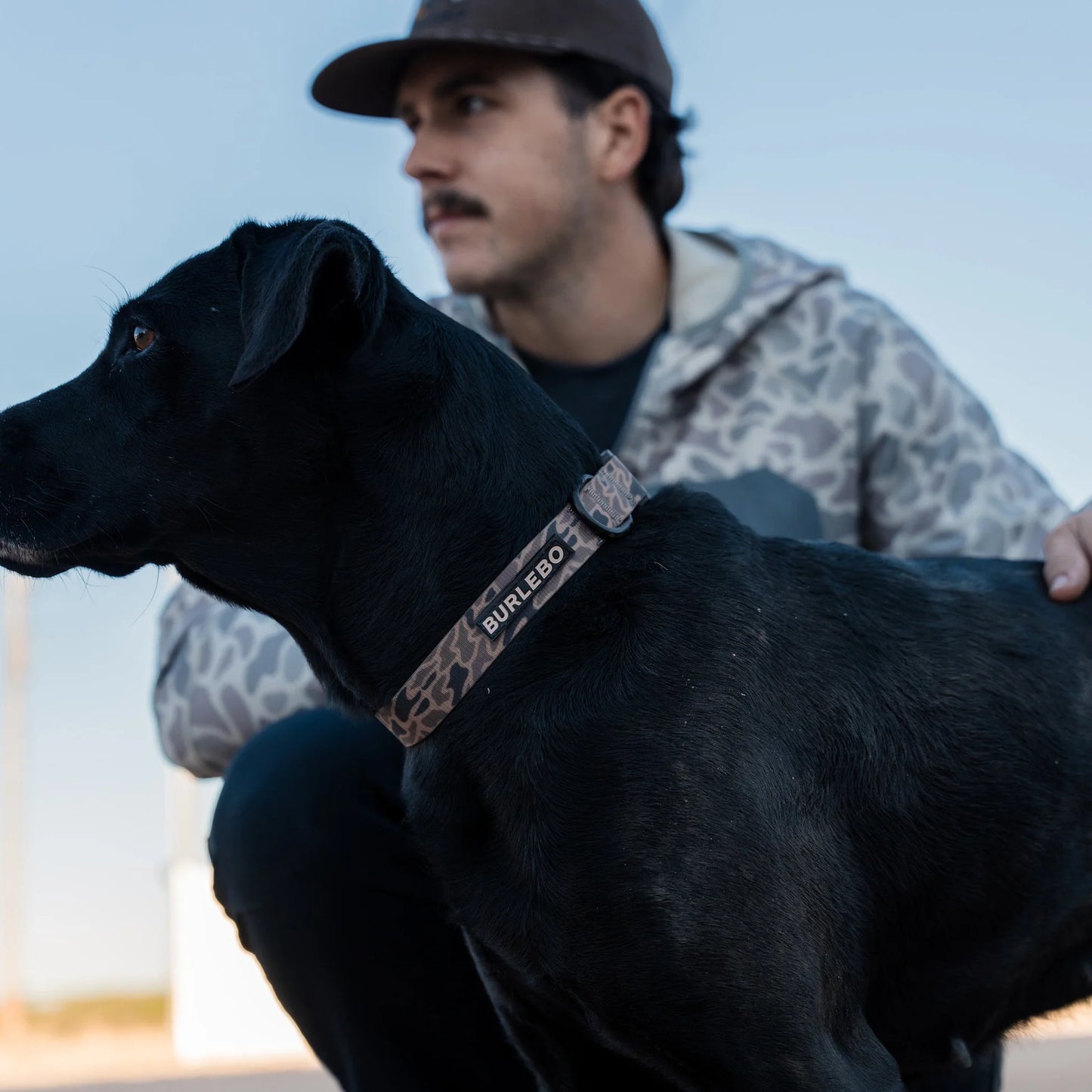Burlebo Dog Collar - Gauge Camo
