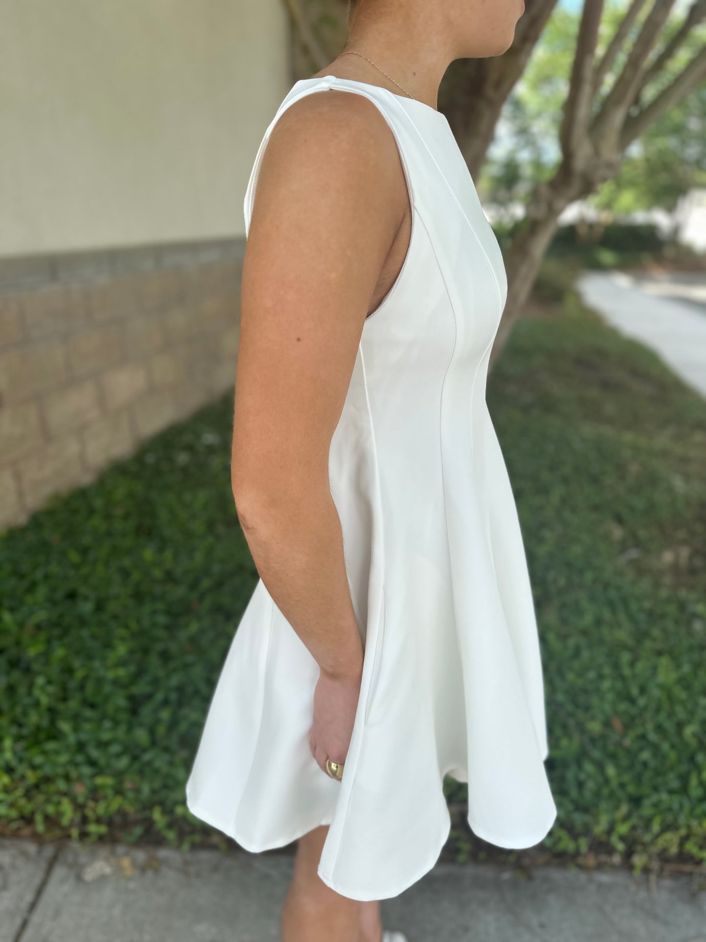 Picture Perfect Mini Dress