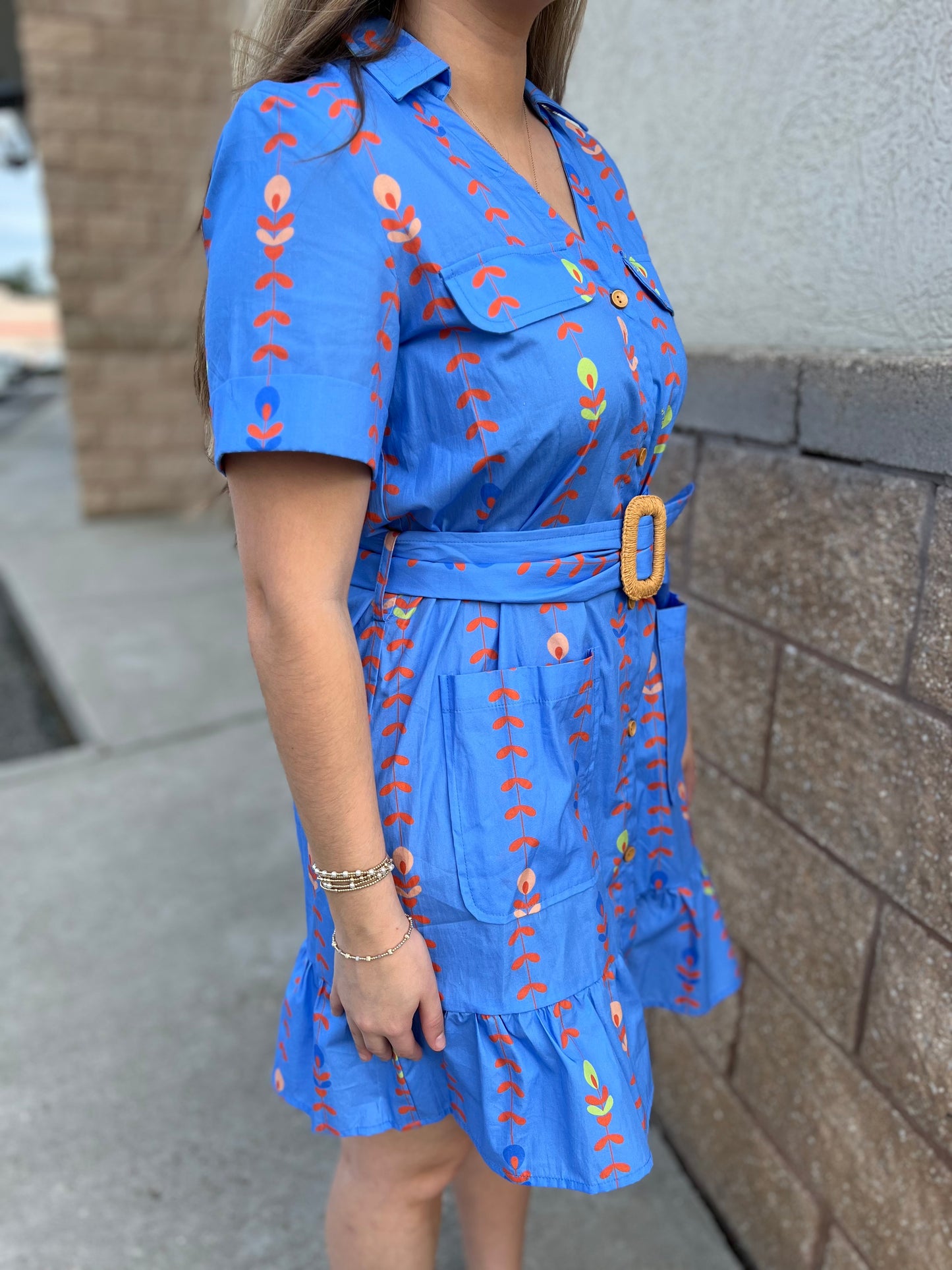 Ginger Belt Dress