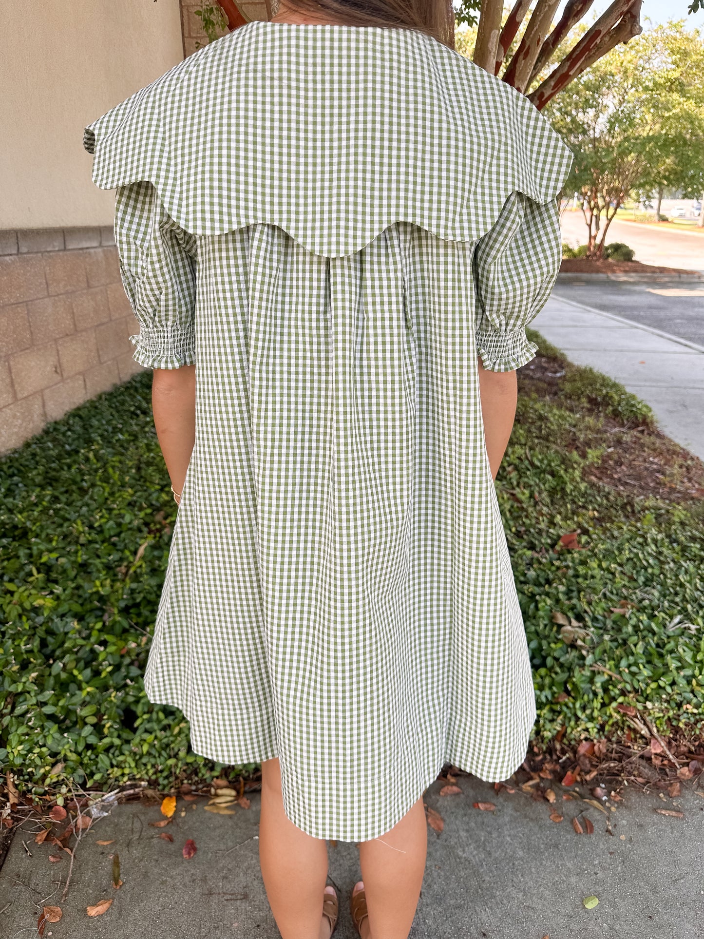 Chrissy Collar Dress