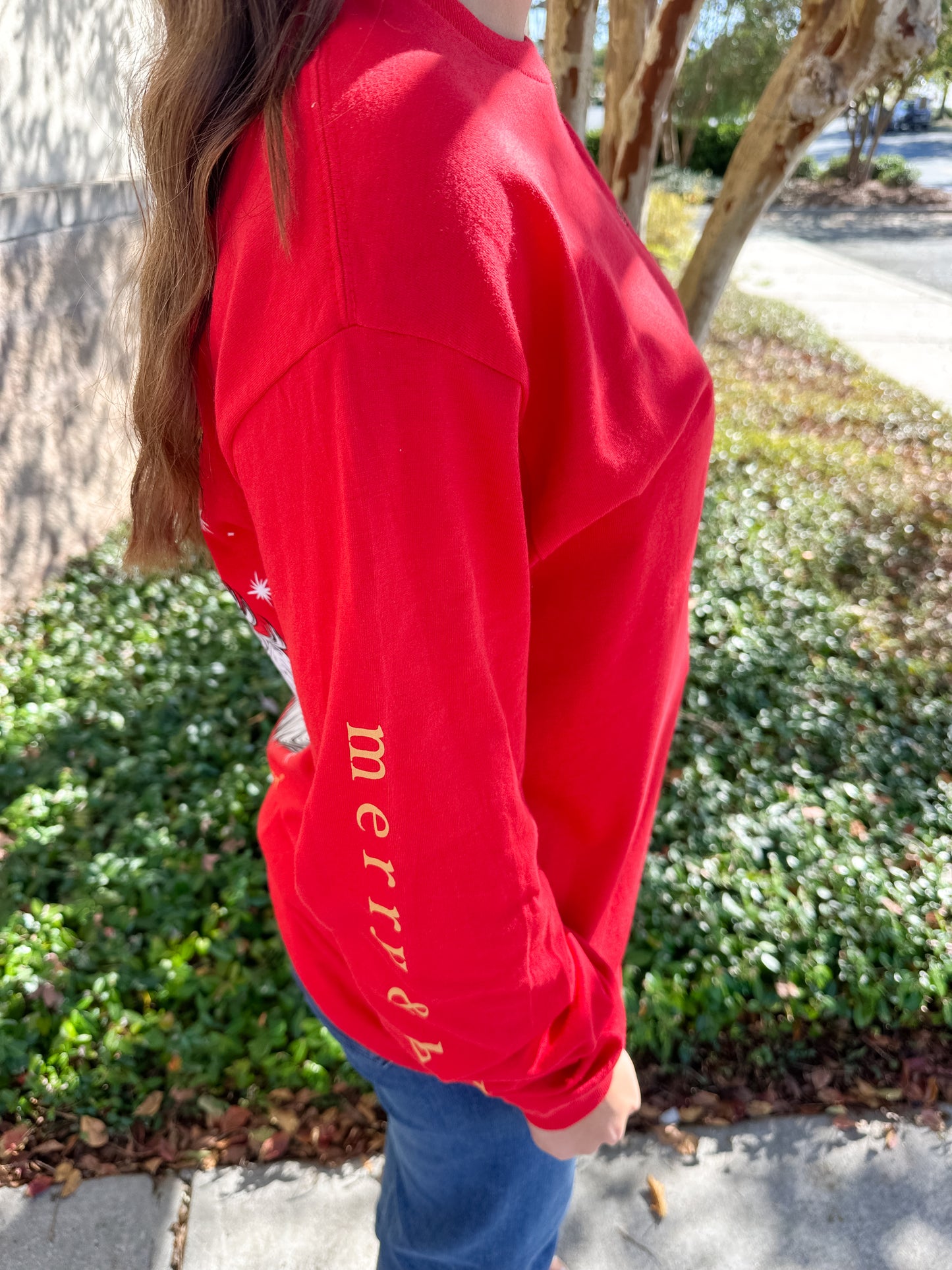 Simply Cheetah Santa Long Sleeve