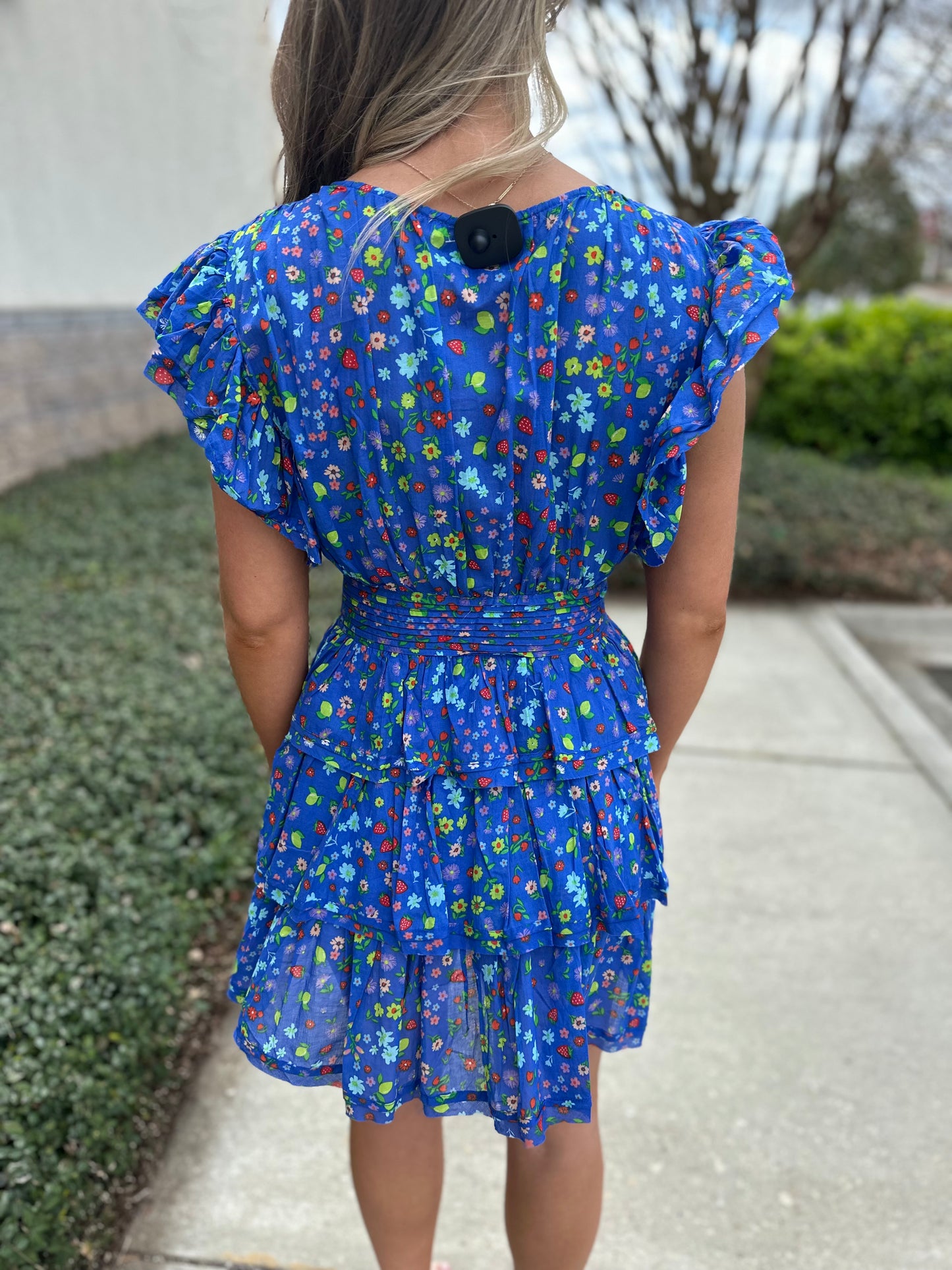 Ansley Summer Fruit Mini Dress