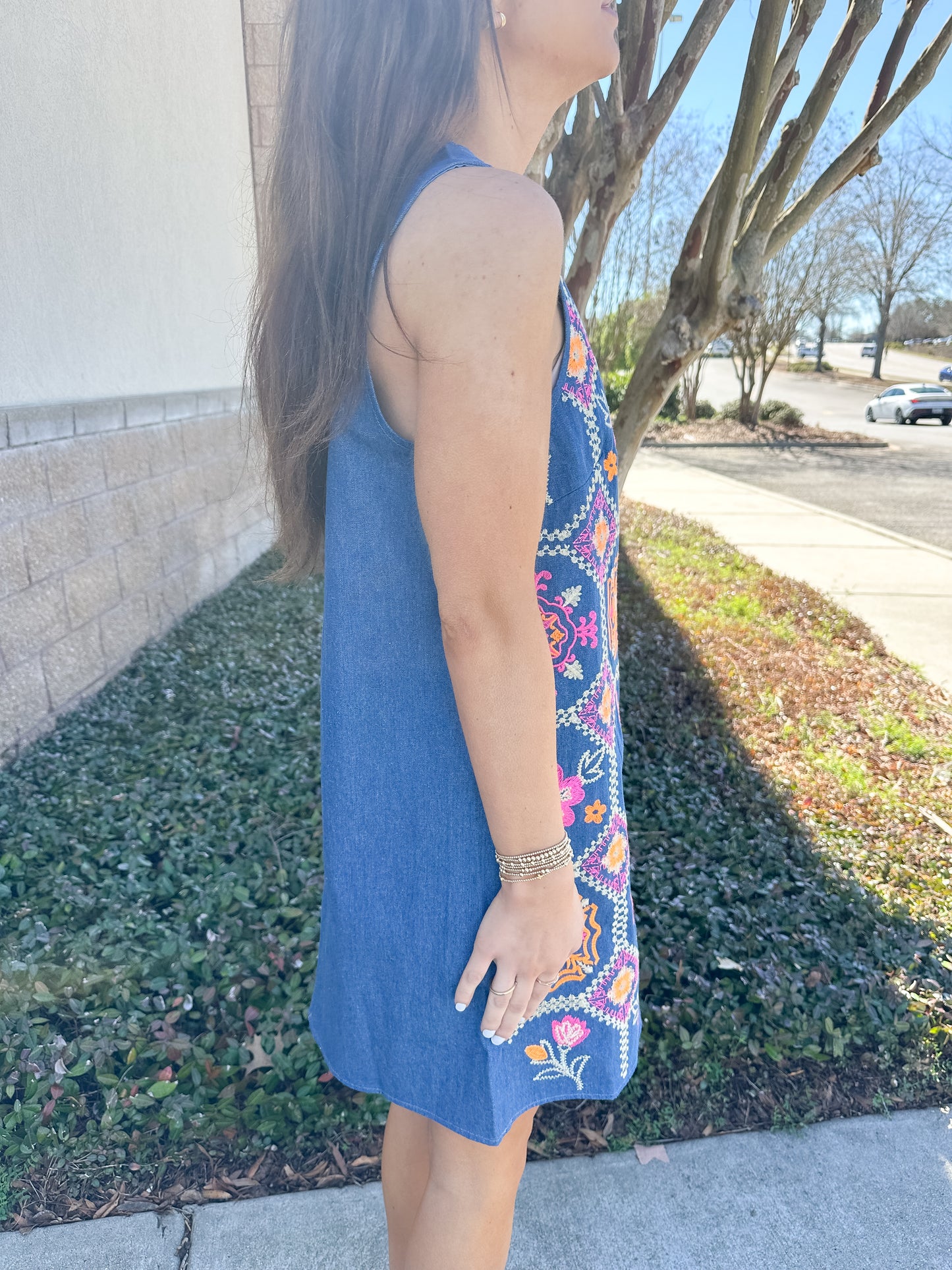 Indigo Garden Shift Dress
