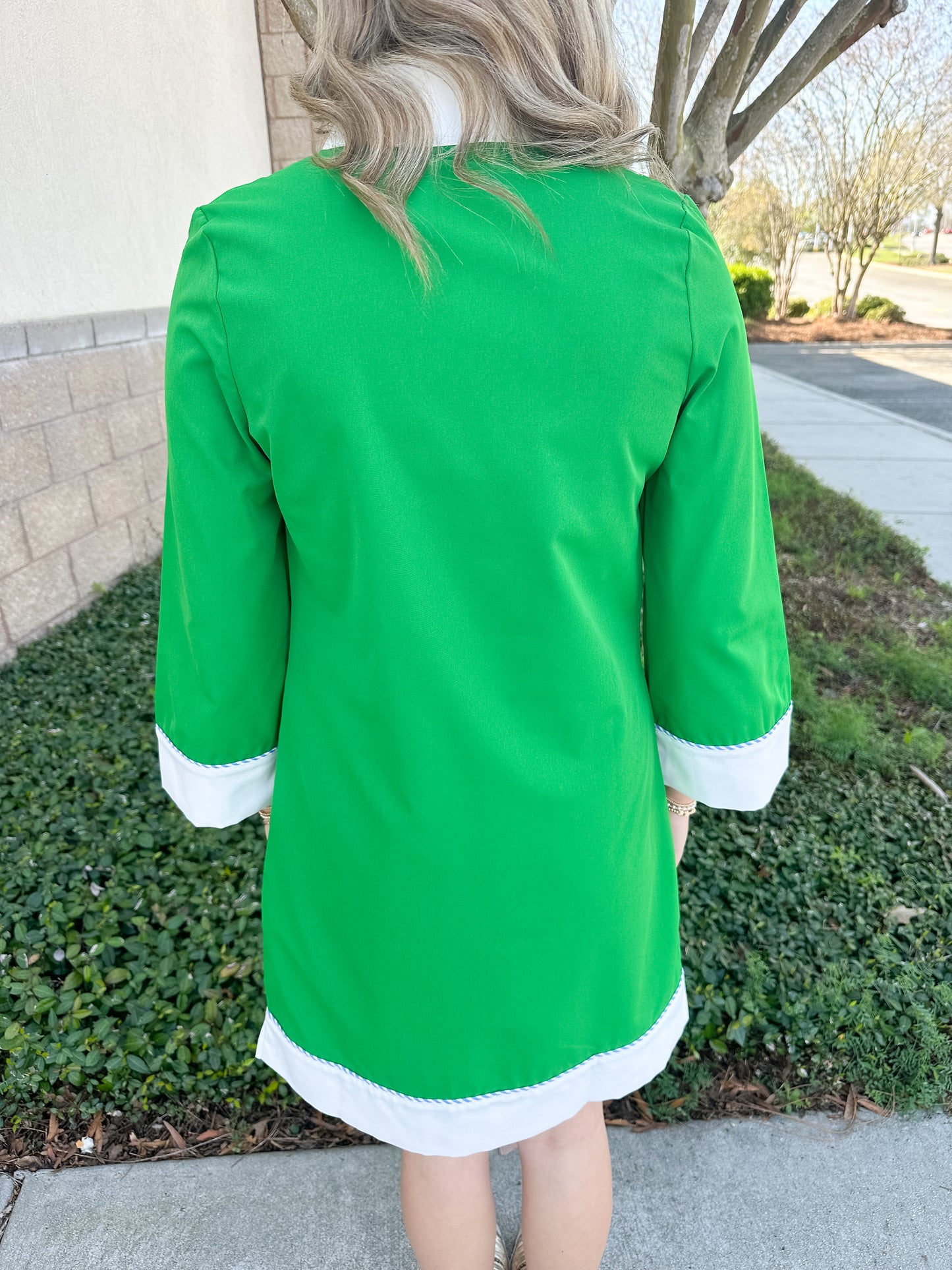 Brenda Dress - Green & White