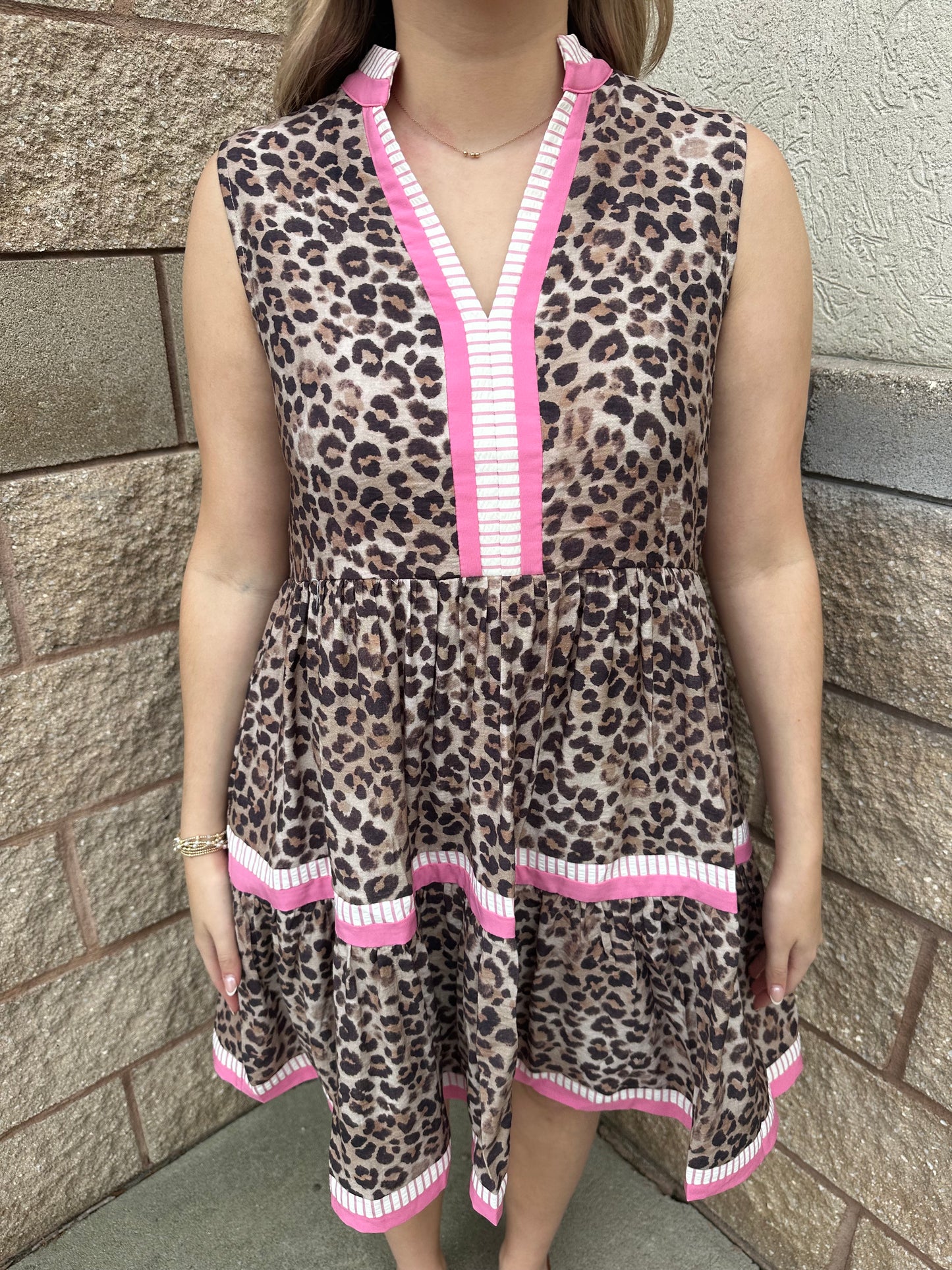 Party Animal V-Neck Dress