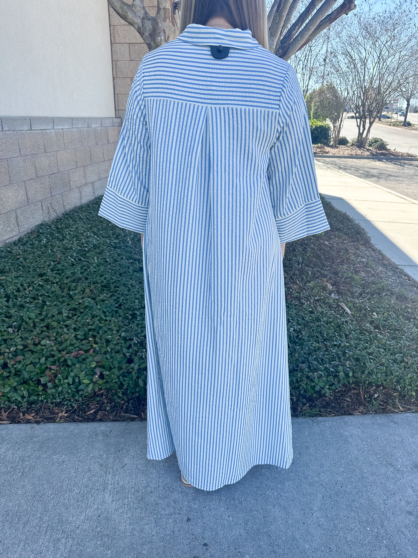 Savannah Stripes Maxi Dress - Blue