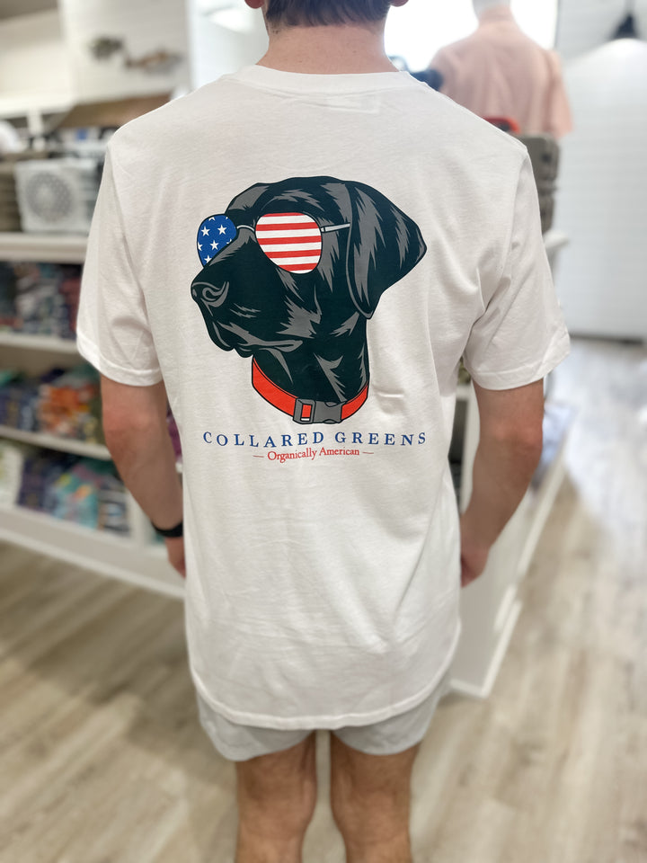 Collared Greens Aviator Lab S/S T-Shirt - White