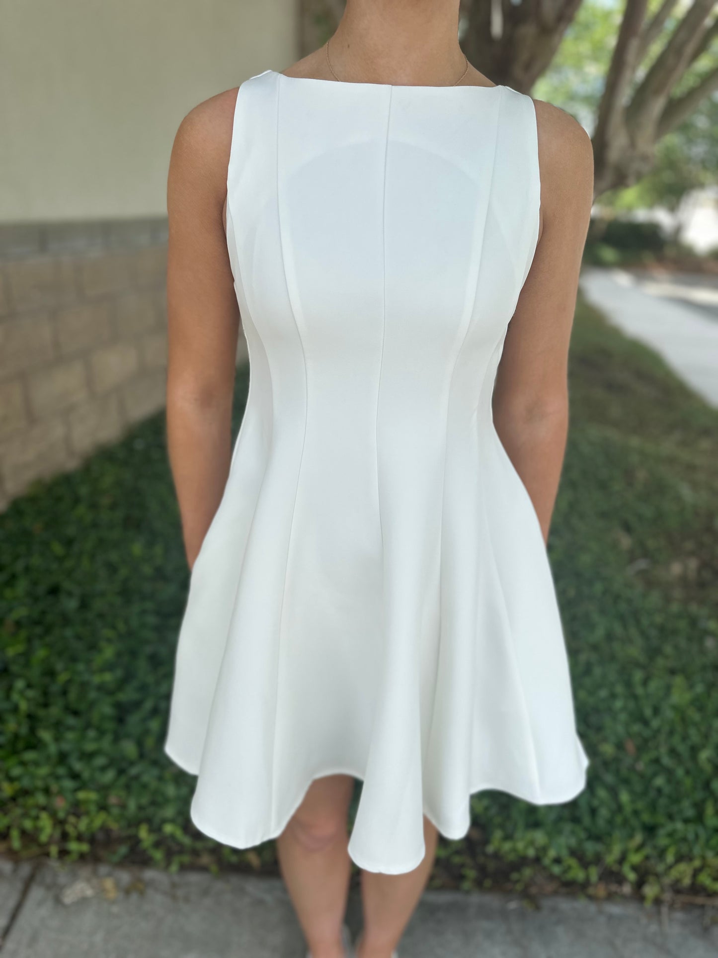 Picture Perfect Mini Dress