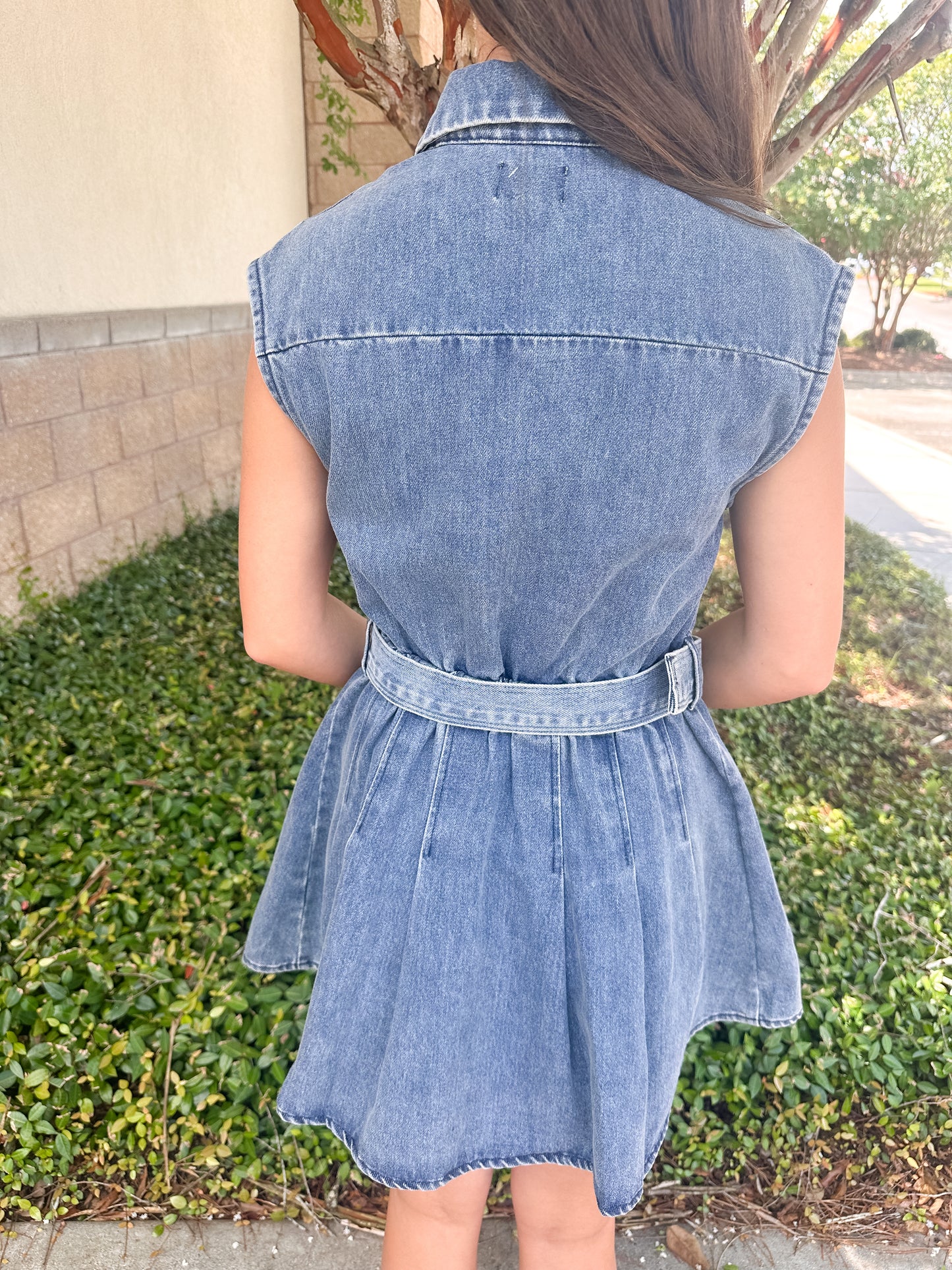 Troy Denim Dress
