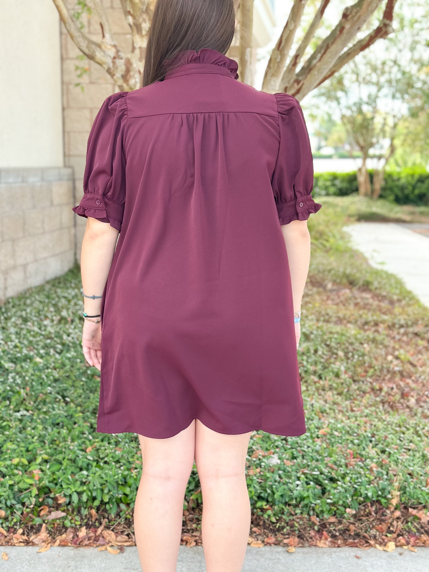 Burgundy Bliss Dress