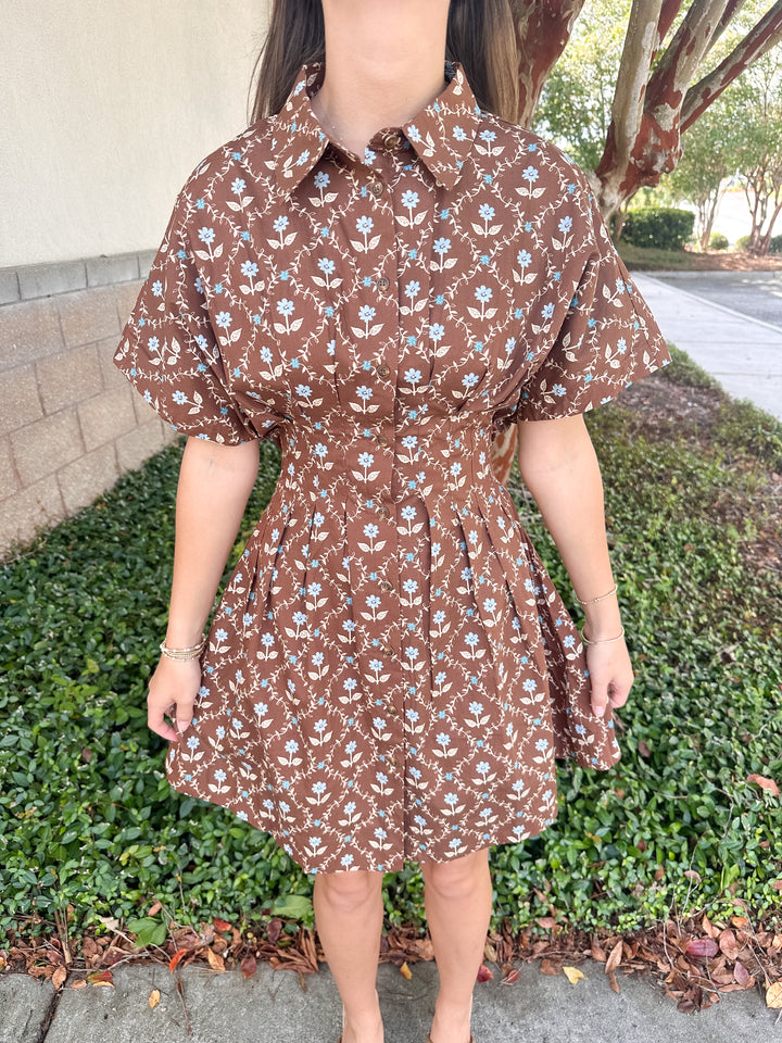 Lily Shirt Dress