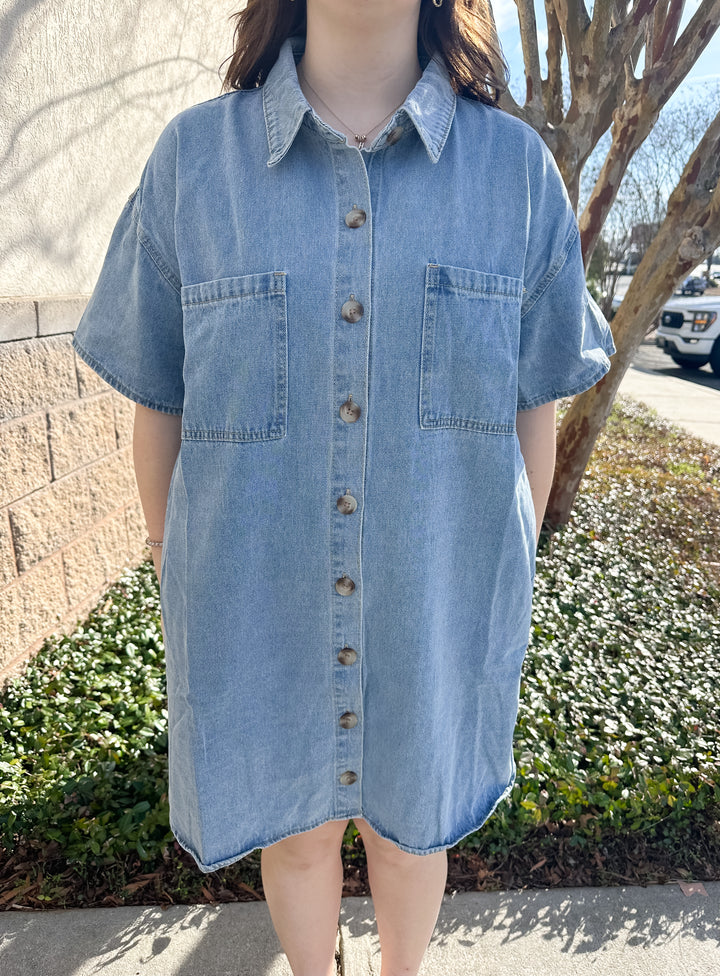 Janet Denim Dress