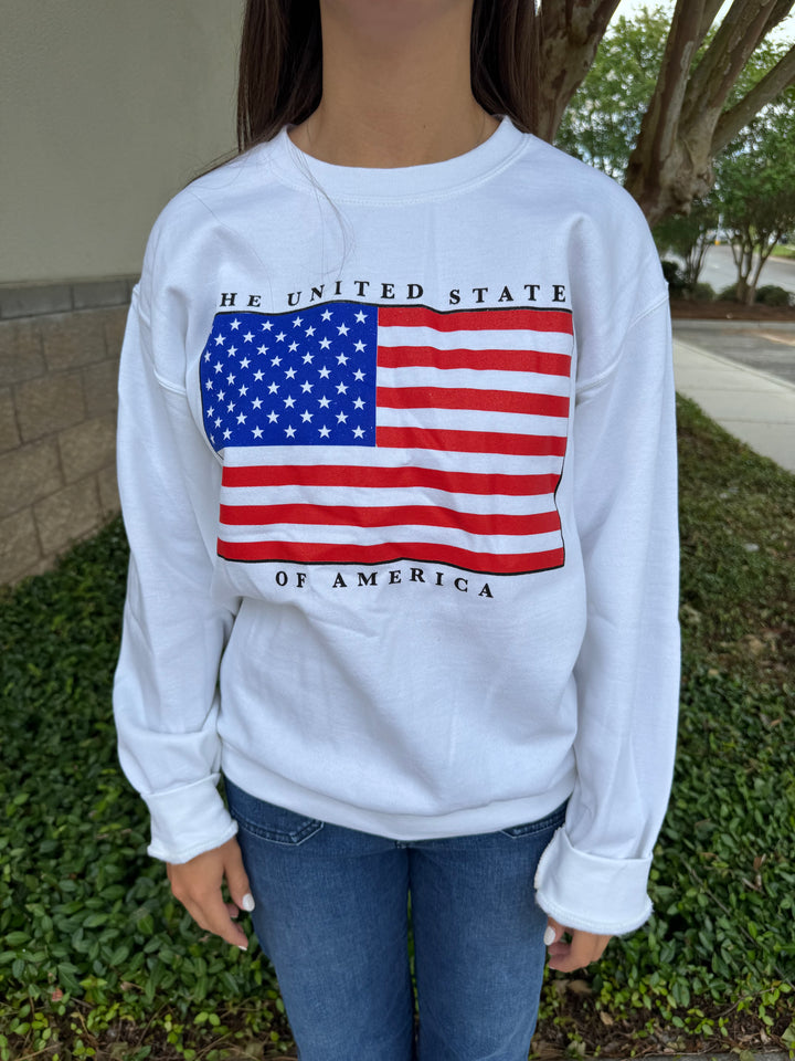 Charlie Southern American Flag Crewneck