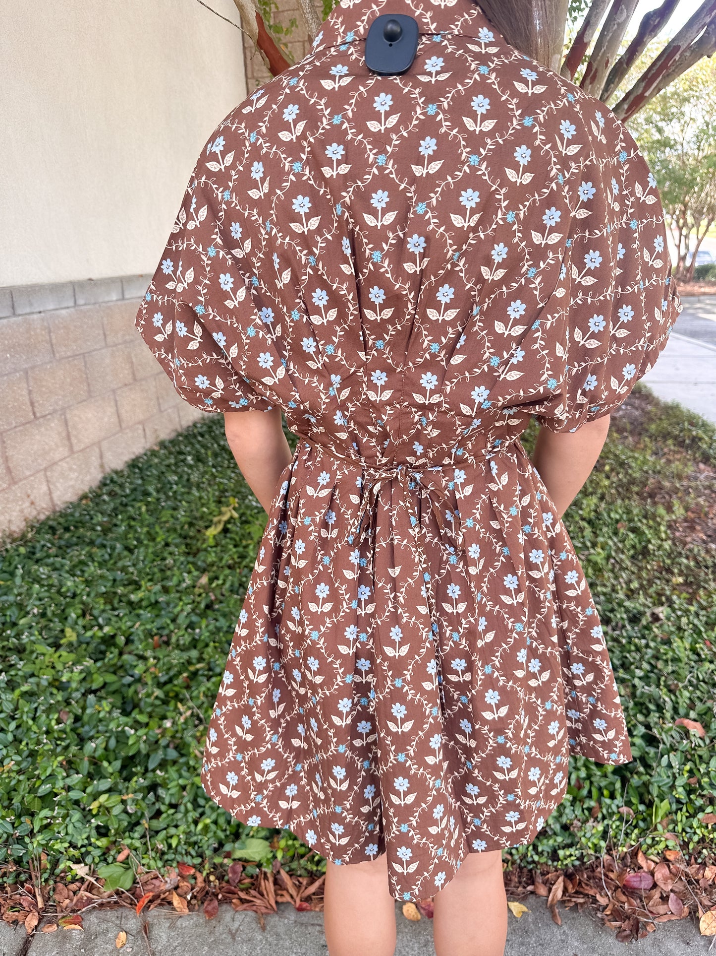 Lily Shirt Dress