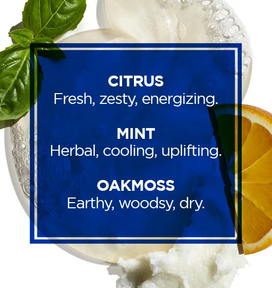 Jack Black All-Over Wash for Face, Hair & Body 10 Oz