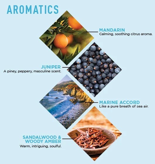 Jack Black Big Sir™ Refreshing Body Lotion