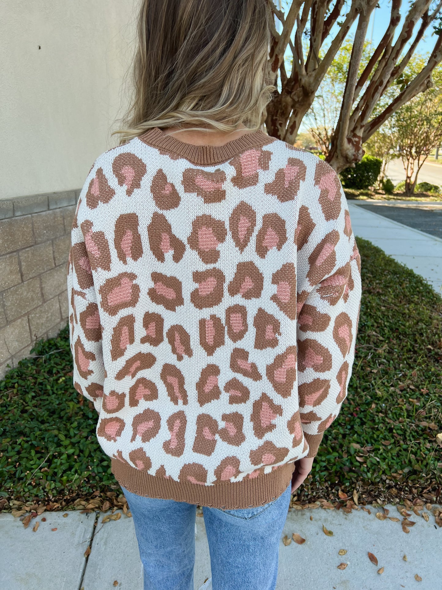 Missie Cheetah Sweater