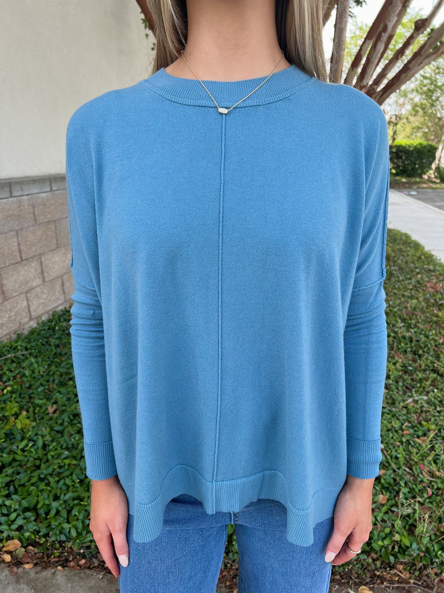 Novelty Crew Sweater: Blue