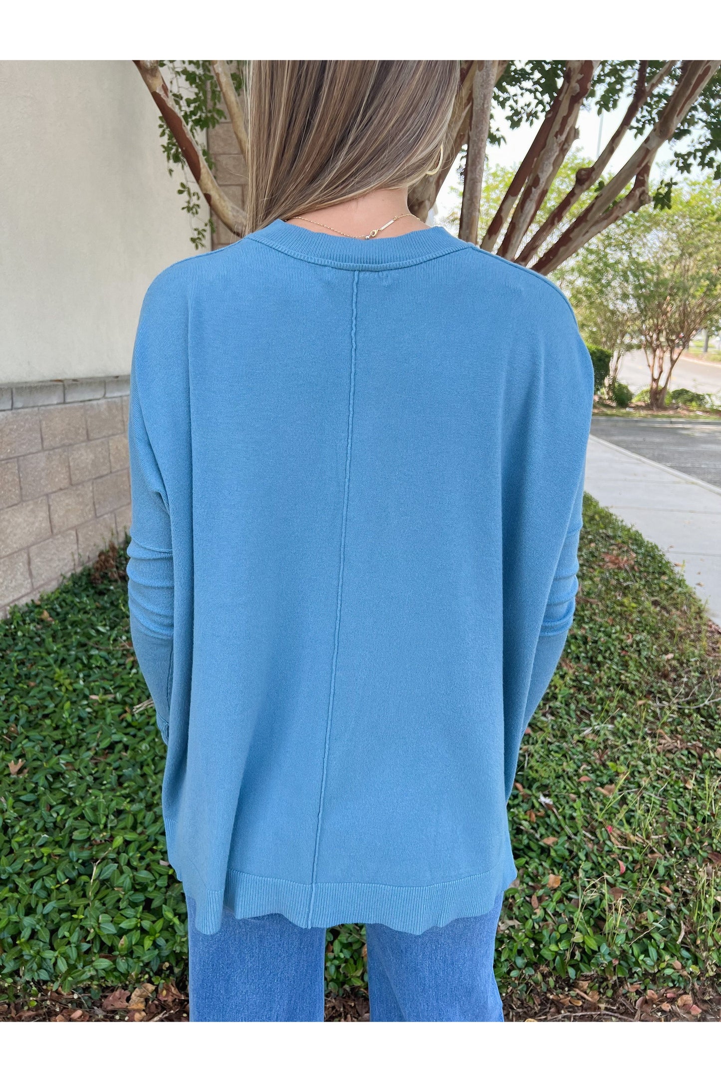 Novelty Crew Sweater: Blue