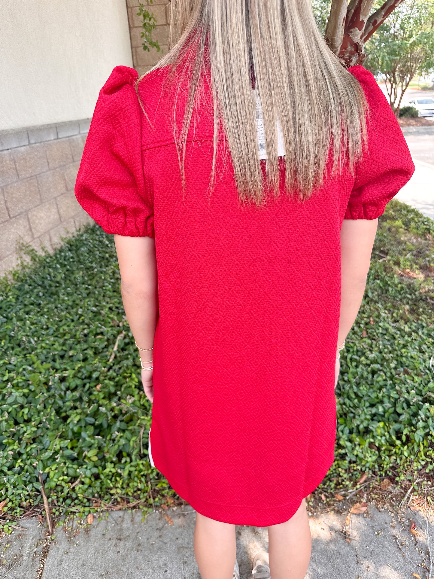 Andie Dress - Red & Black
