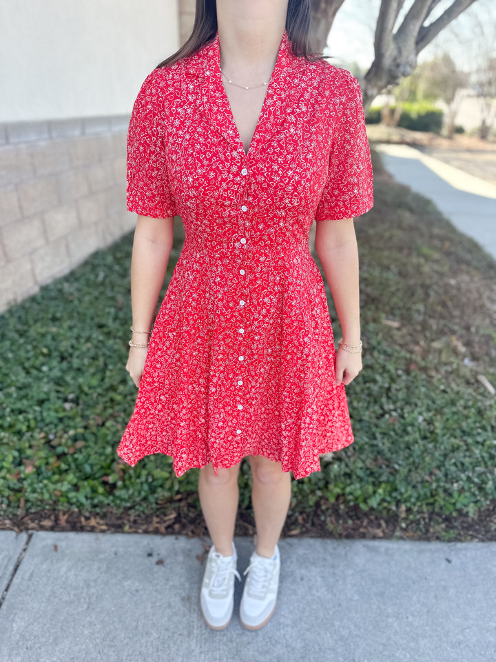 Meghan Collared Dress